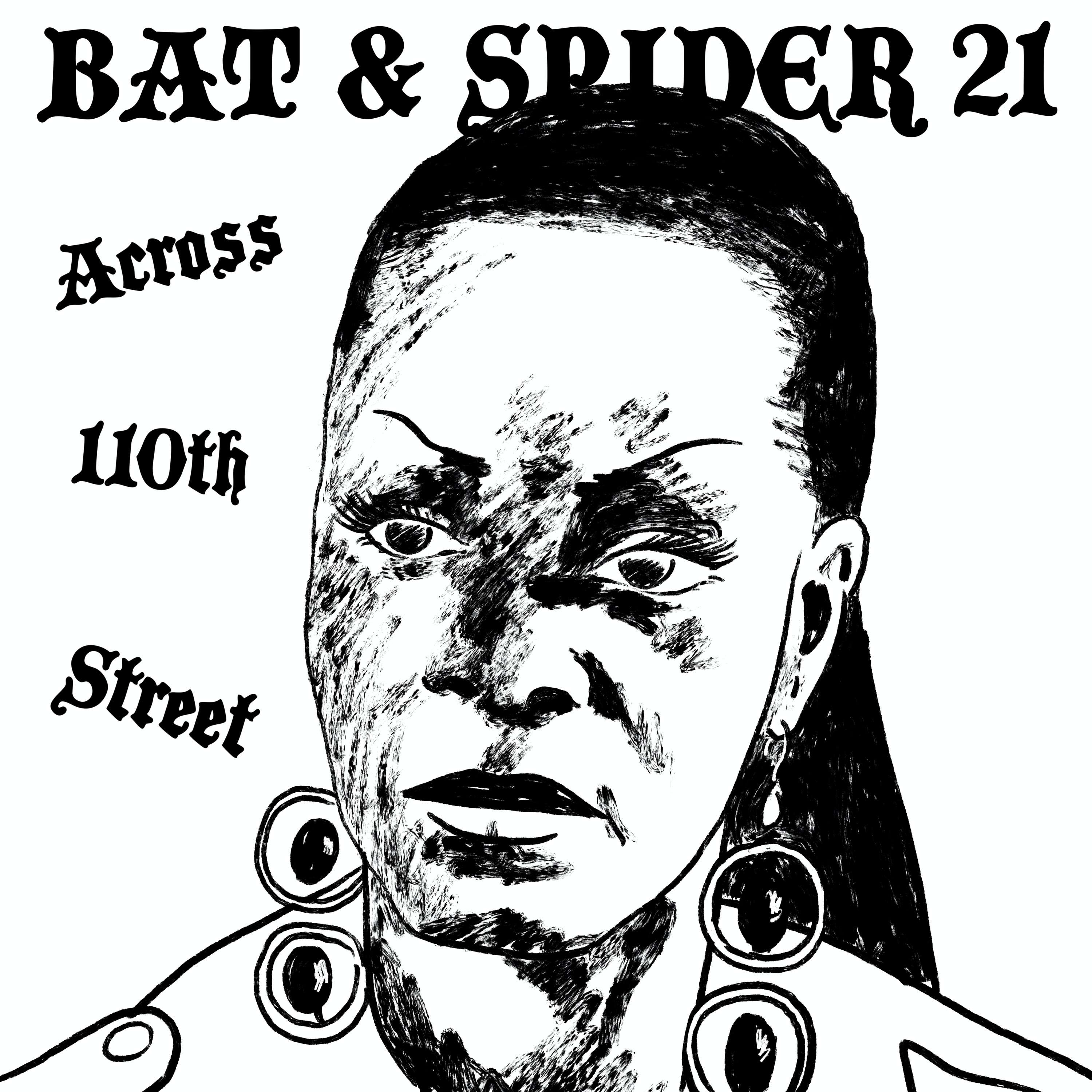 BAT AND SPIDER