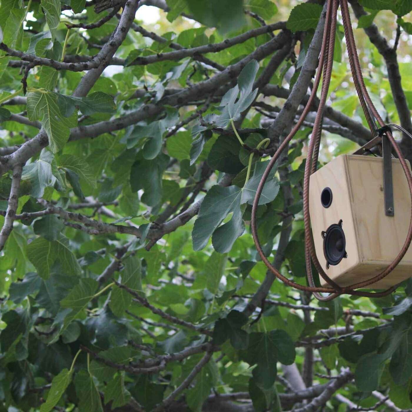 L\'Art de l\'Écoute