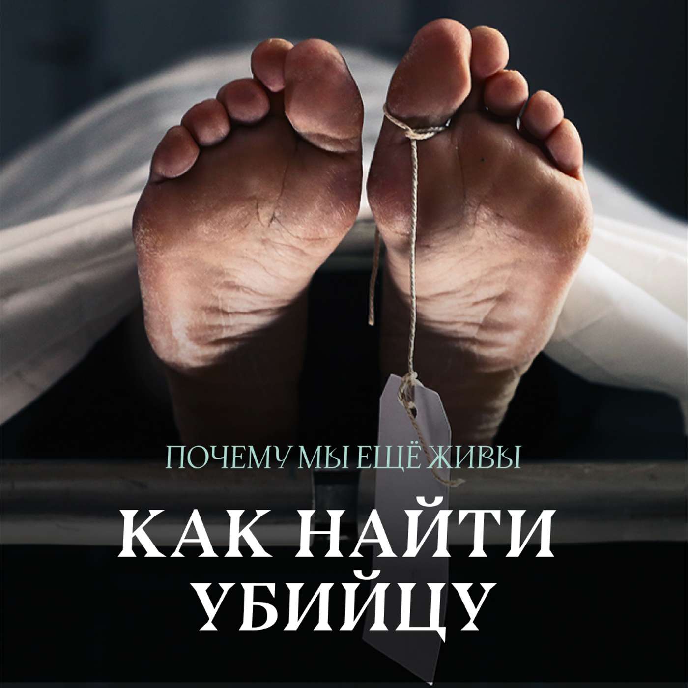 Следствие разберётся: главные изобретения судебной медицины Следствие разберётся: главные изобретения судебной медицины