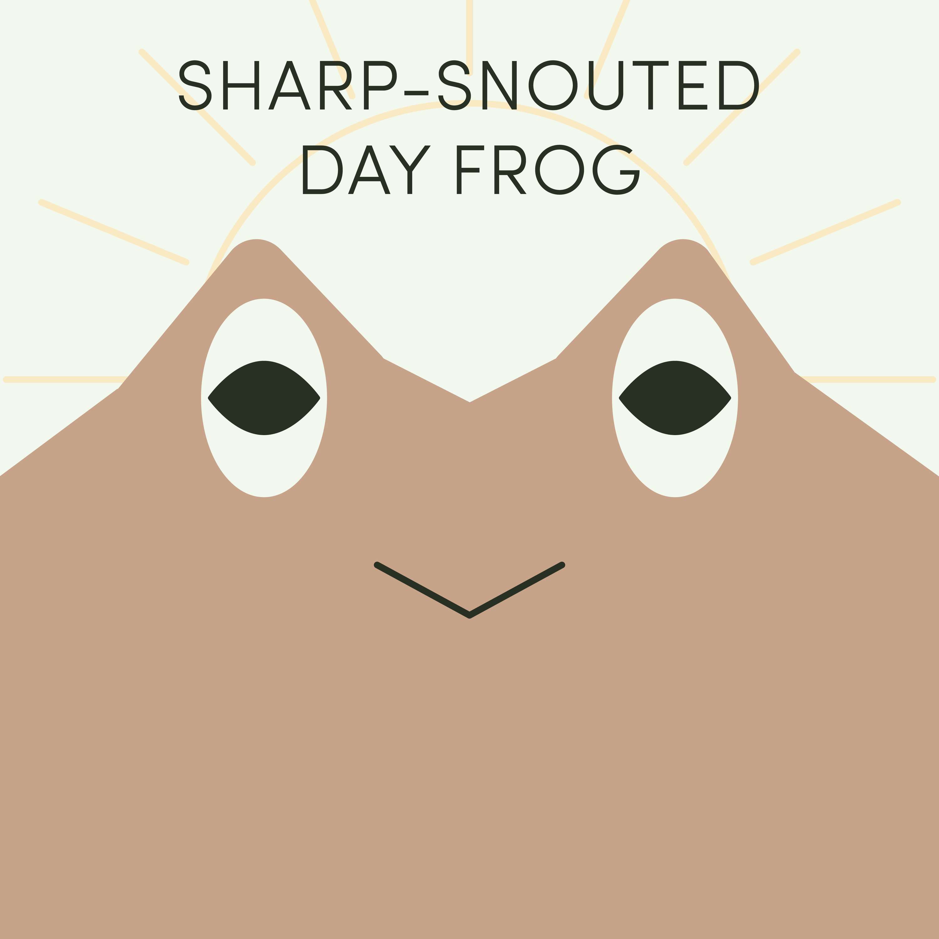 Sharp-Snouted Day Frog | Week of June 5th