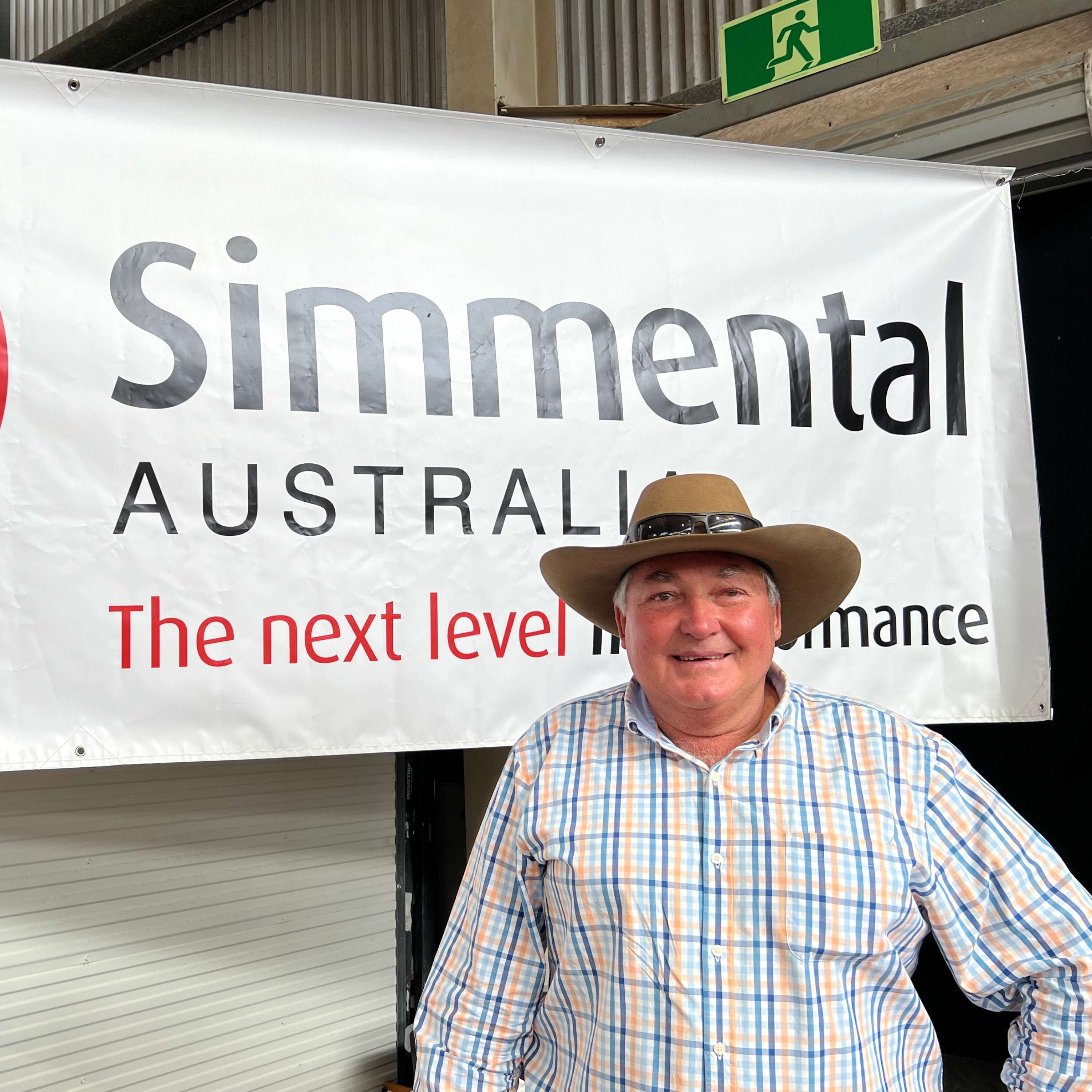 Australian Simmentals - 50 years in the making