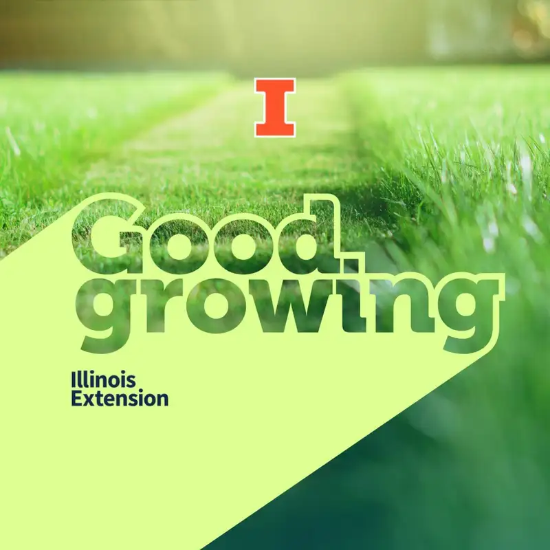 Ep. 106 Talking Spring Lawn Care and Organic Practices with Richard Hentschel | #GoodGrowing