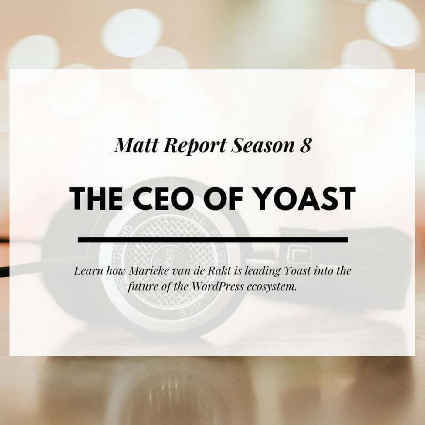 Matt Report