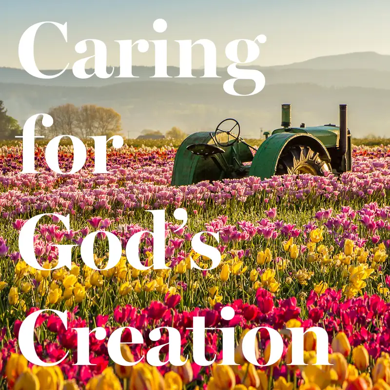 Caring for God’s Creation