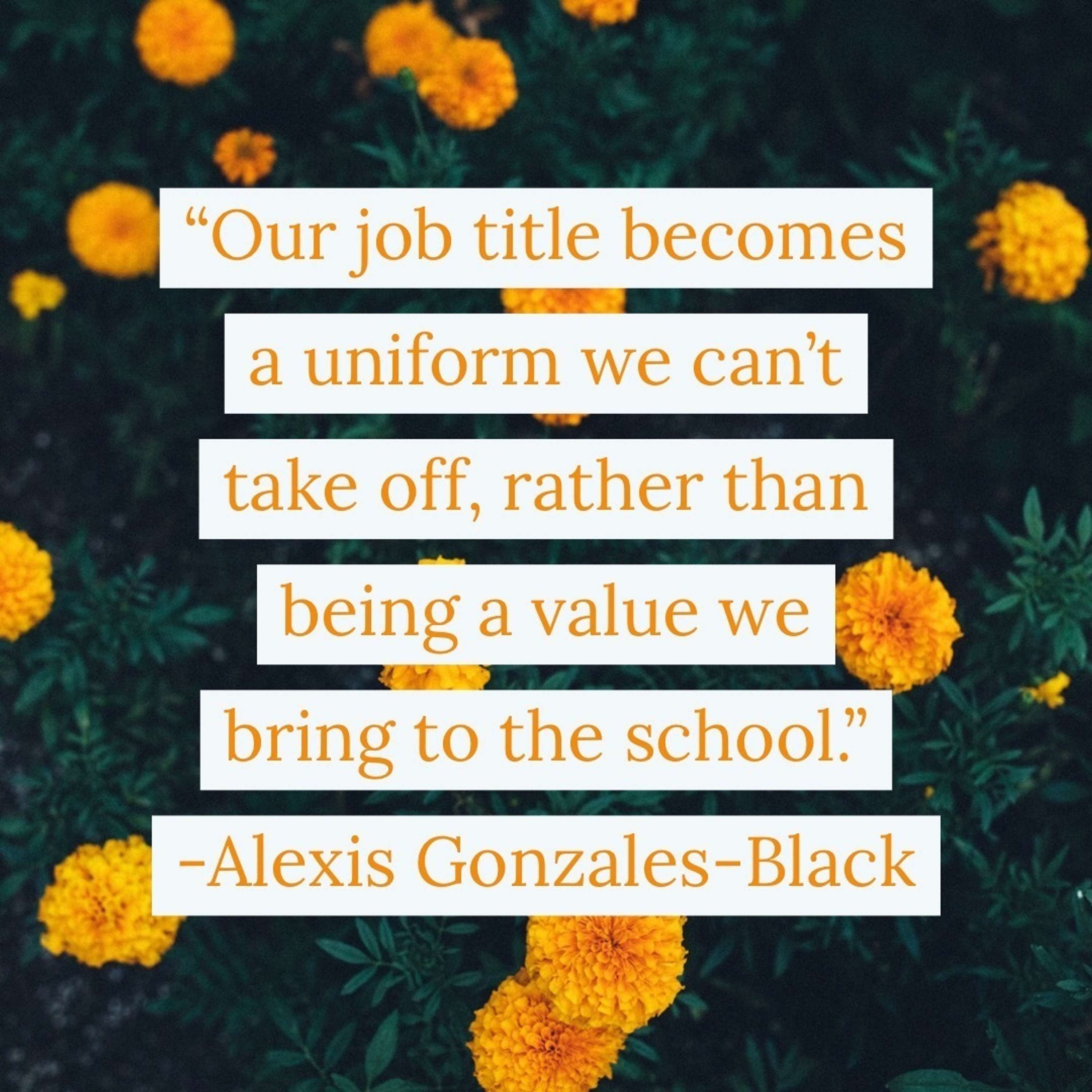 Transformative Principal
