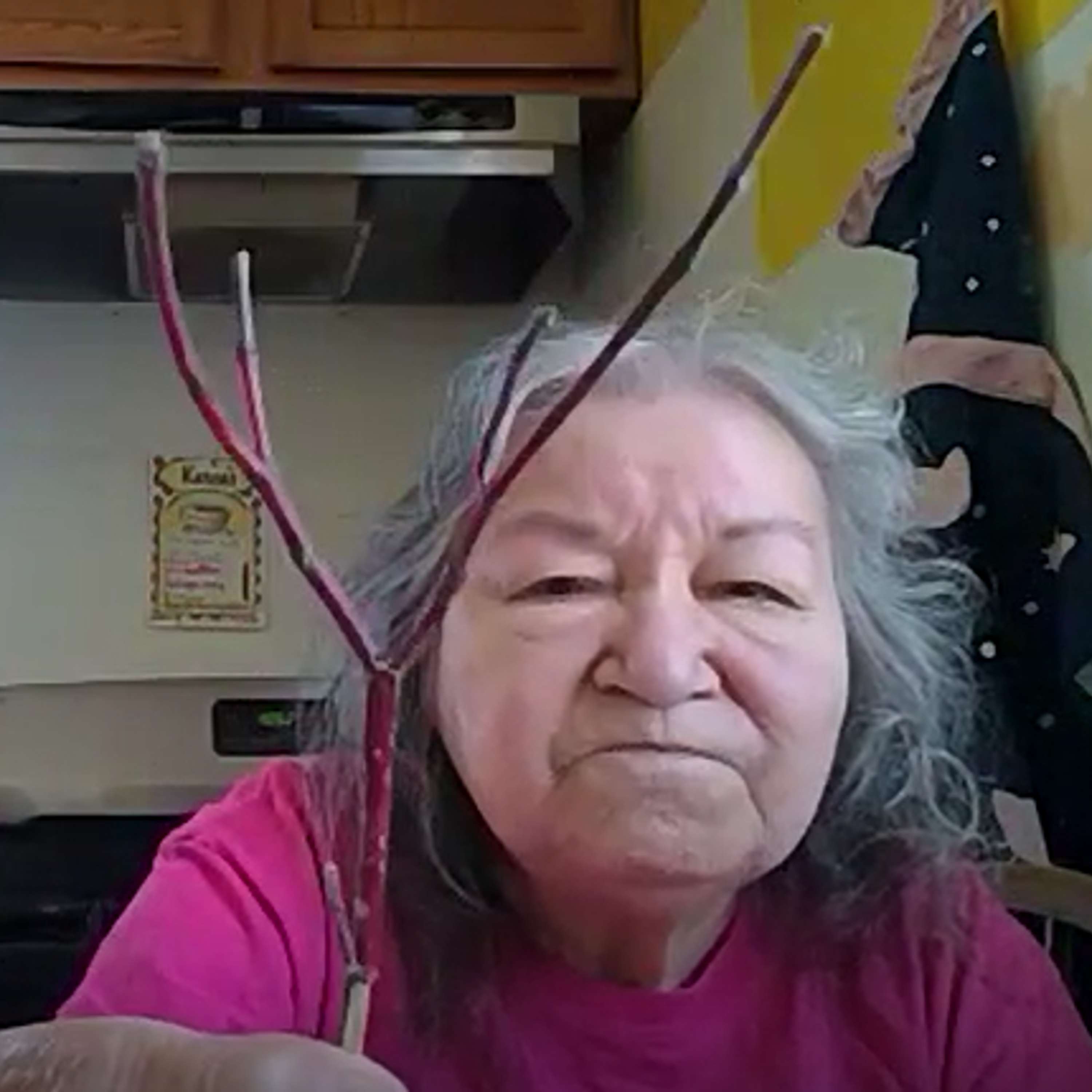Anishinaabe Bizindamoo Makak Ep. 10 - "Karen Drift Shares Winter Stories" episode artwork