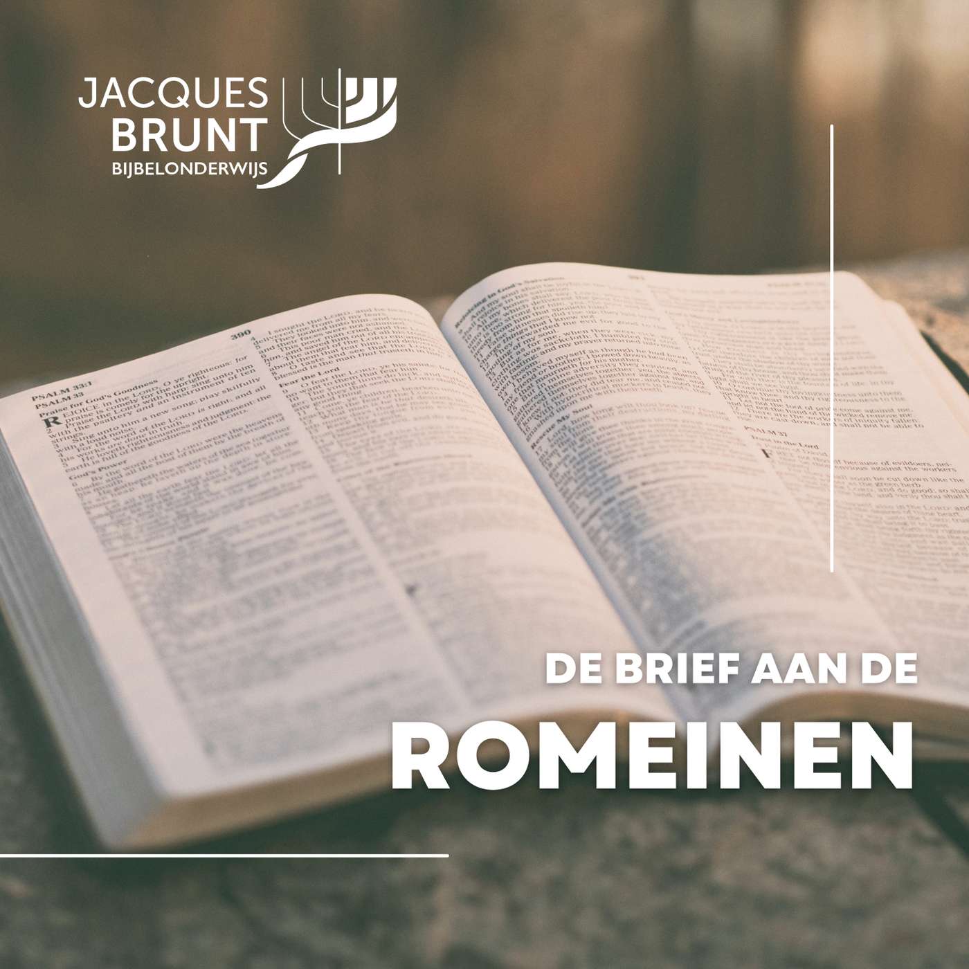 De brief aan de Romeinen