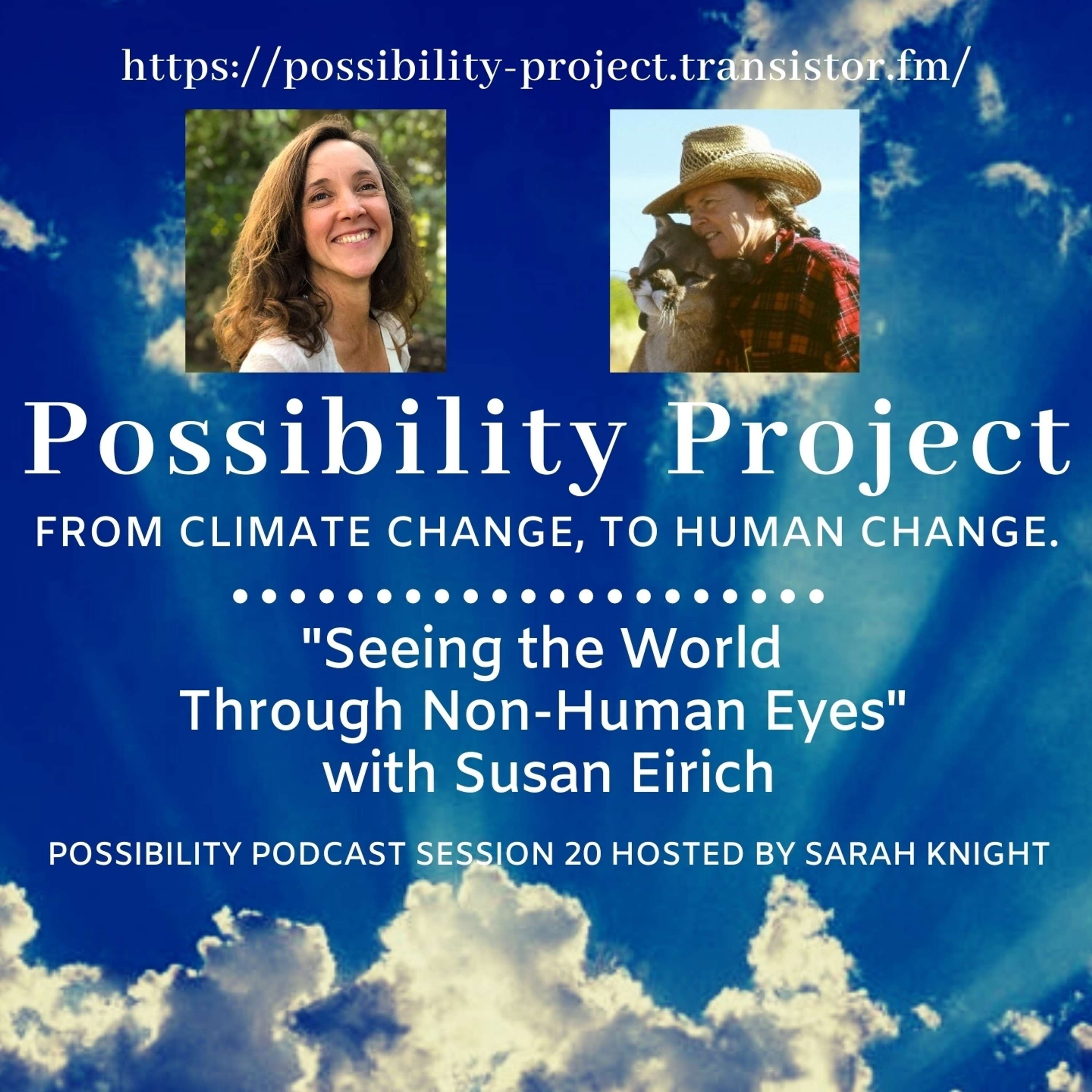 Seeing the World Through Non-Human Eyes with Susan Eirich, Possibility Podcast Session 20