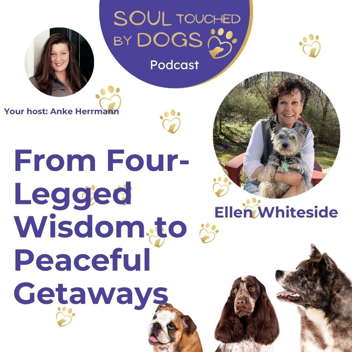 Soul Touched by Dogs