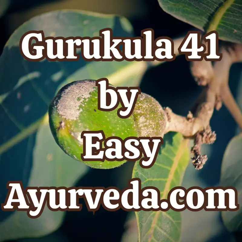 Gurukula 41: Different methods of using Bhallathaka and its different preparations