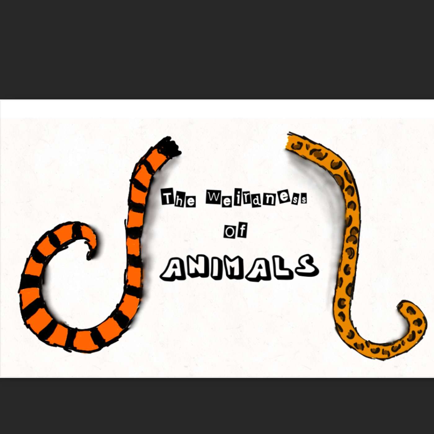 The Weirdness of Animals