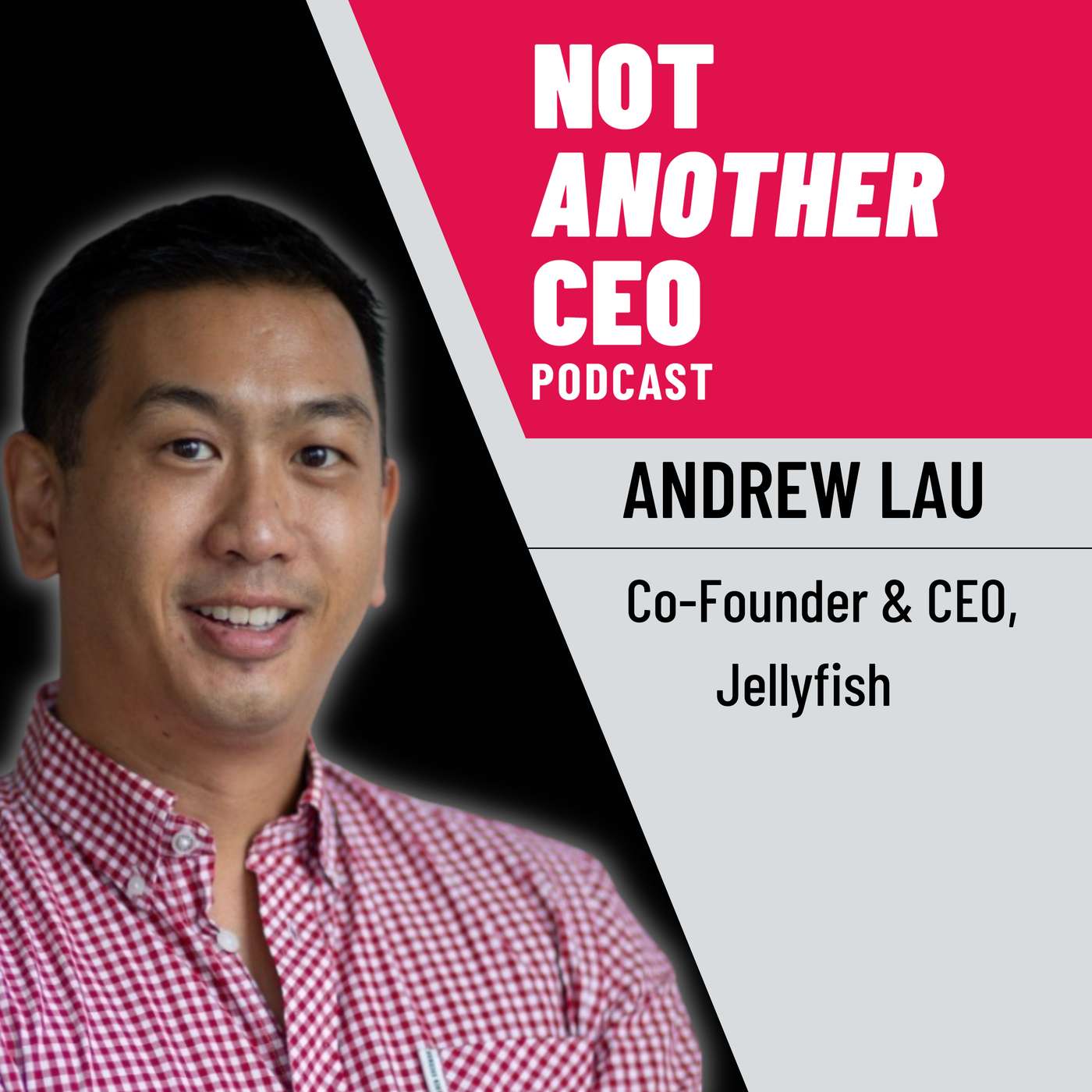 Not Another CEO Podcast