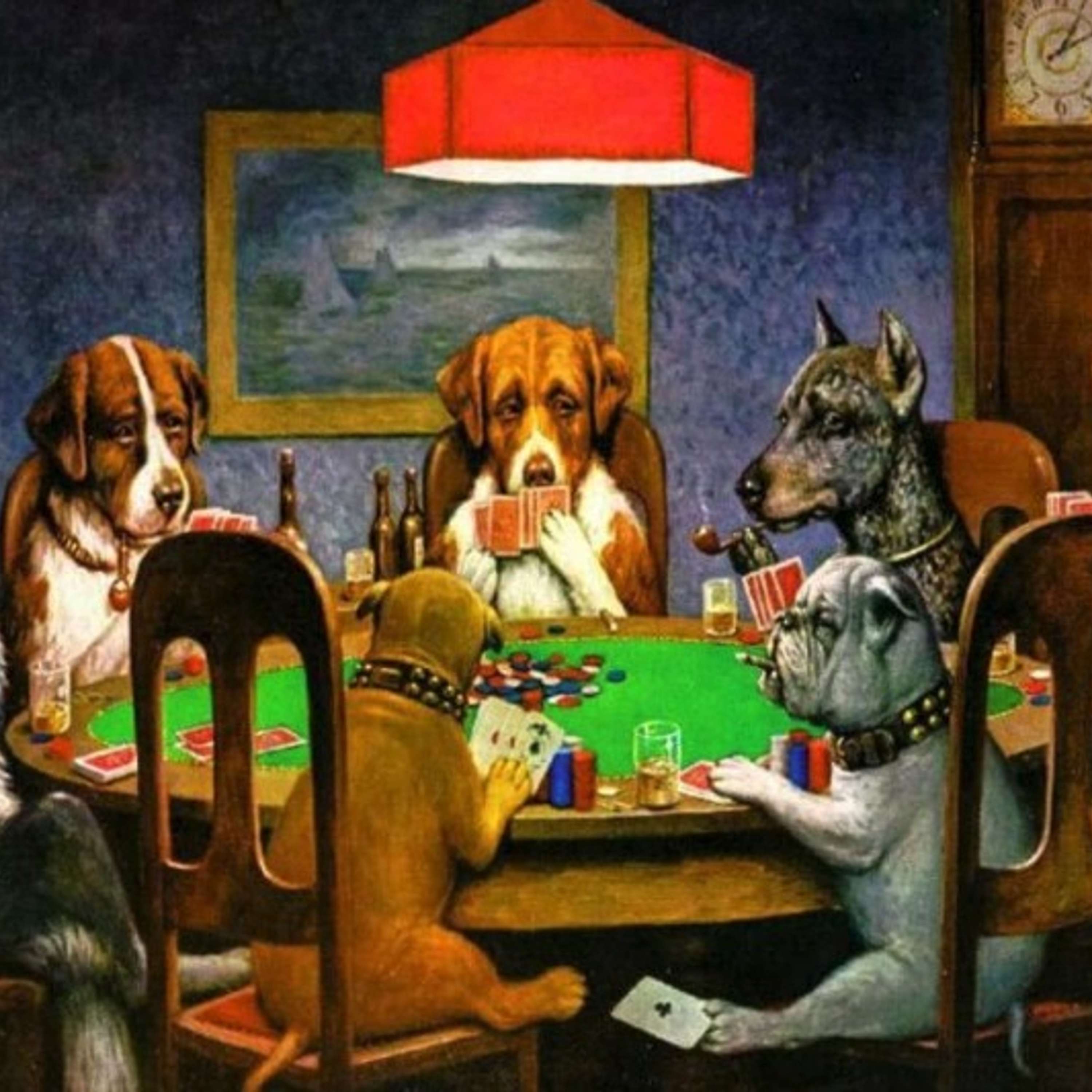 THE POKER SHOW WITH SHANE AND MILES