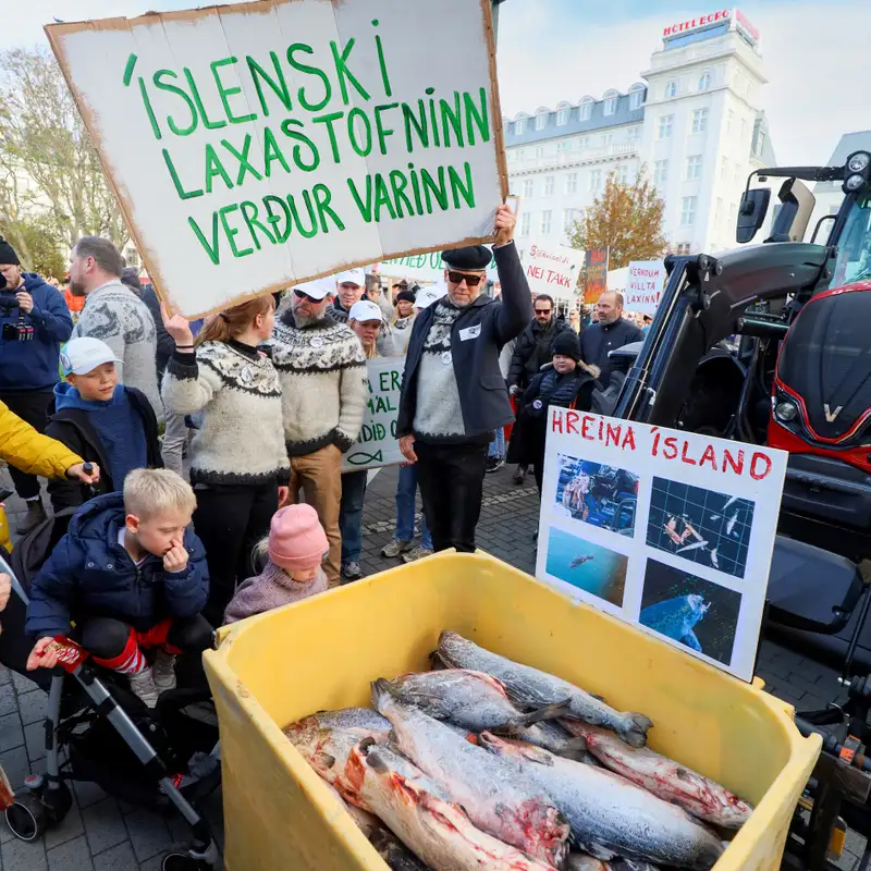 The tipping point for Iceland in their fight to save the wild salmon