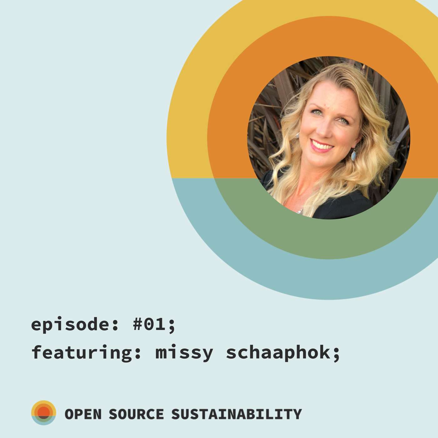 Open Source Sustainability