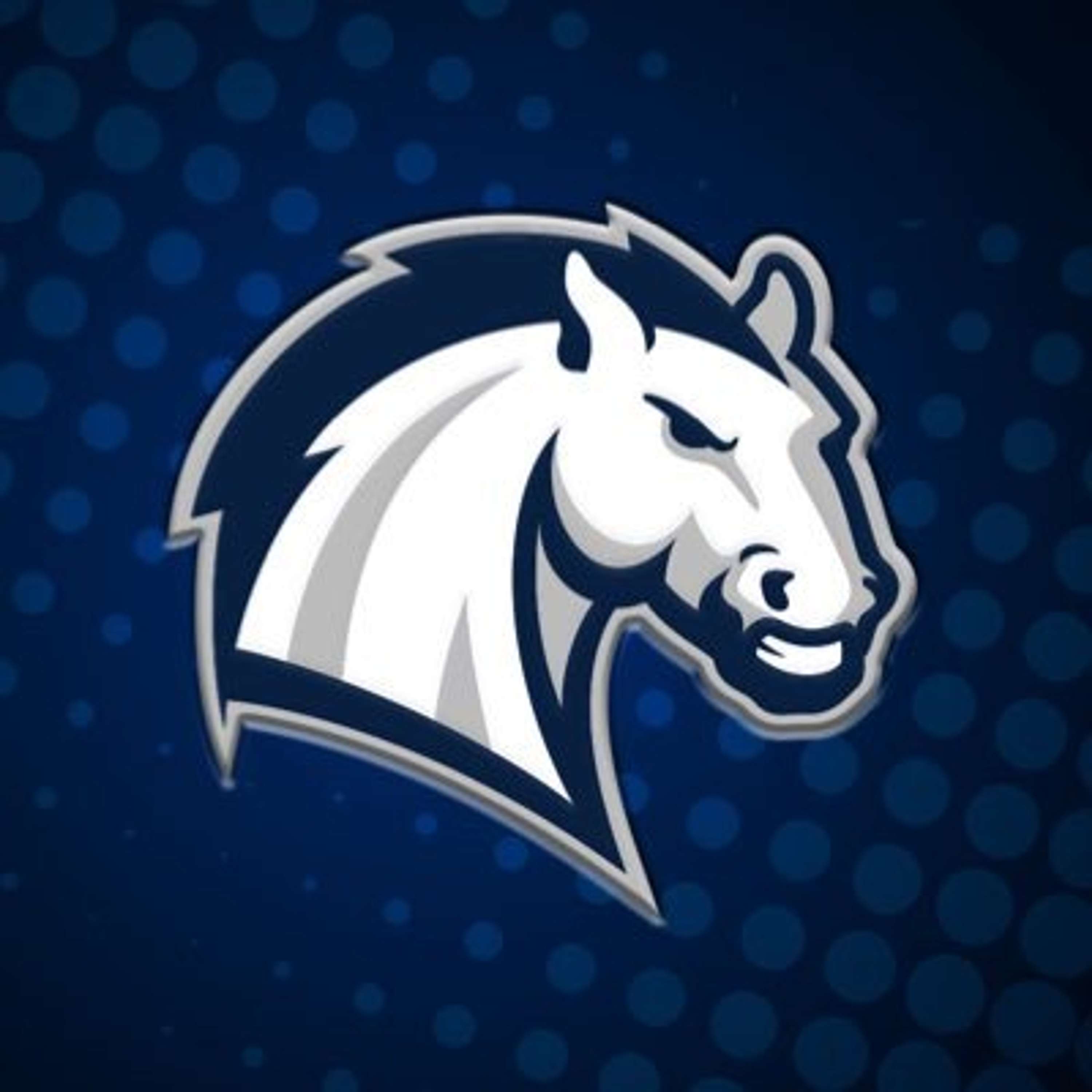 Men's Basketball: Hillsdale vs. Walsh, 01/16/25 - podcast episode cover