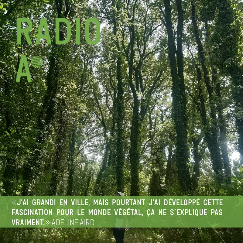 Préservation des forêts alluviales du fleuve Rhône