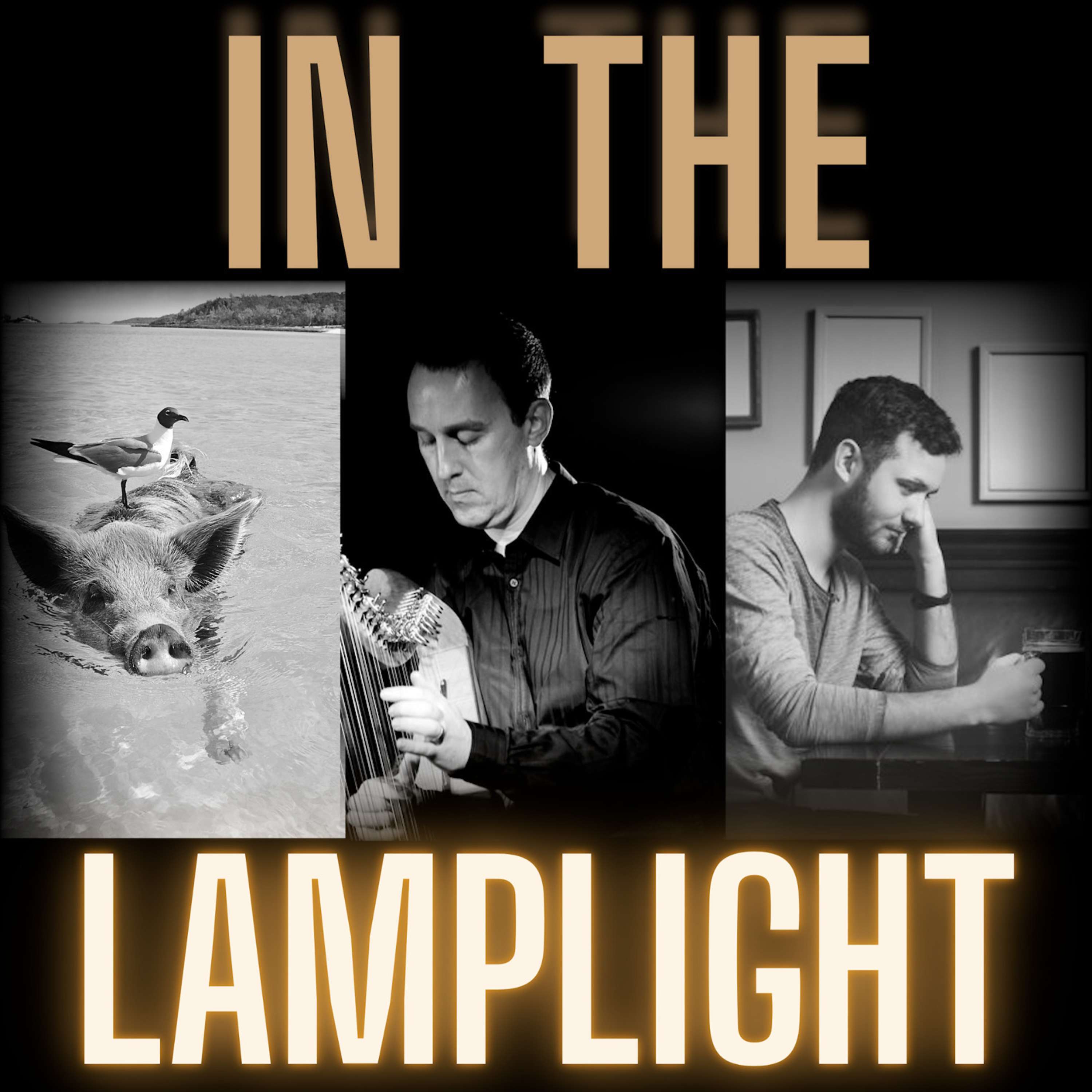 In The Lamplight