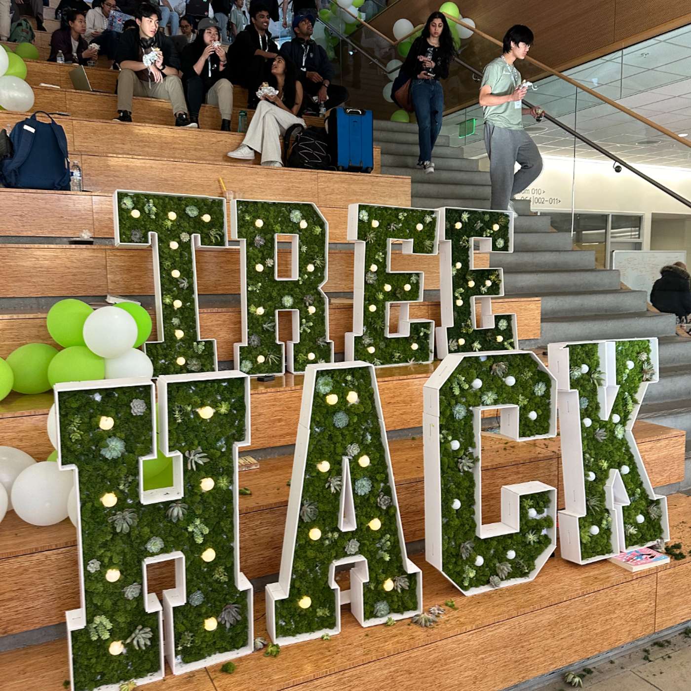 Charting New Horizons: Exploring AI Innovation at TreeHacks 2024