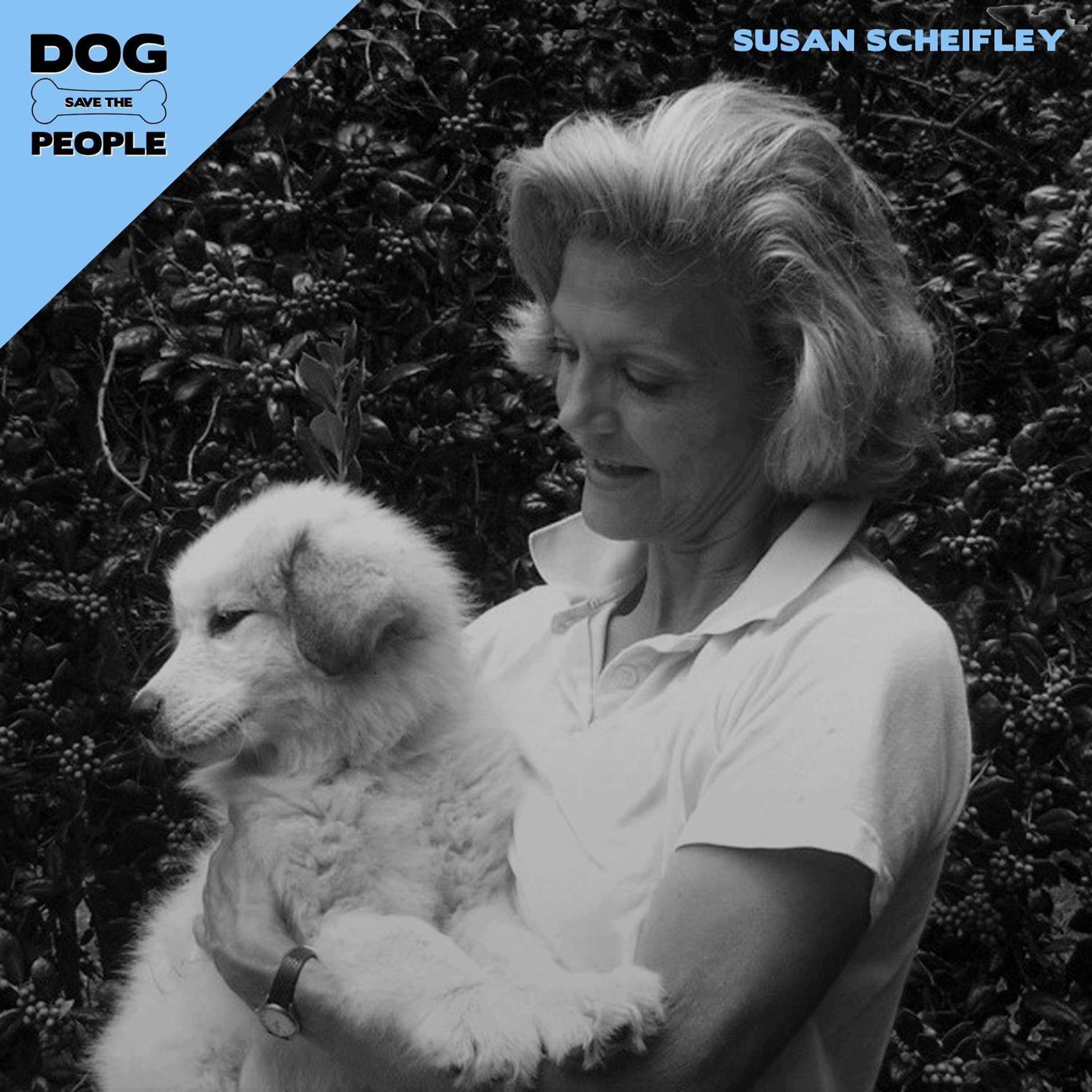 Best Part of Us w/ Susan Scheifley