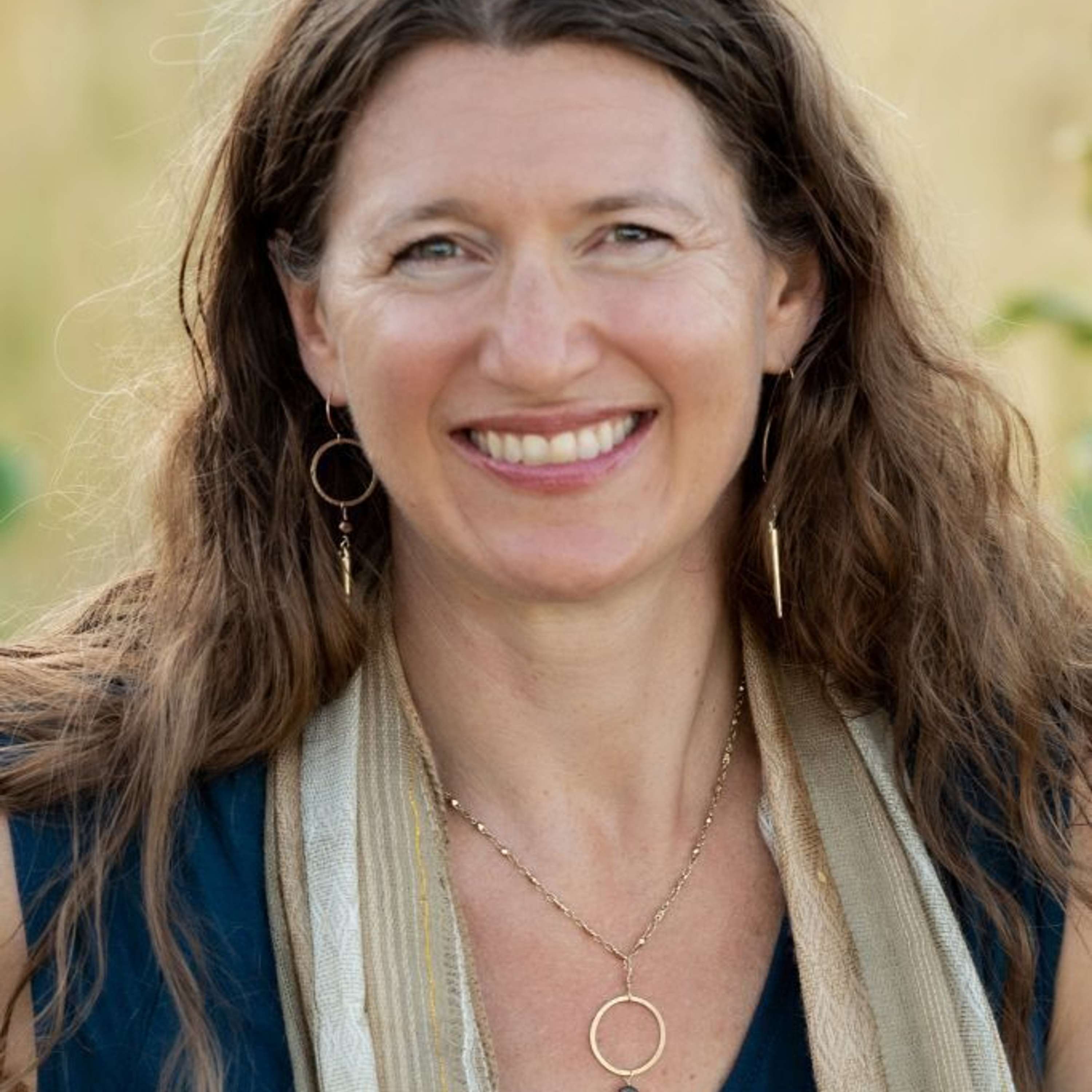 Dr. Arielle Schwartz ~The Post-Traumatic Stress Guidebook