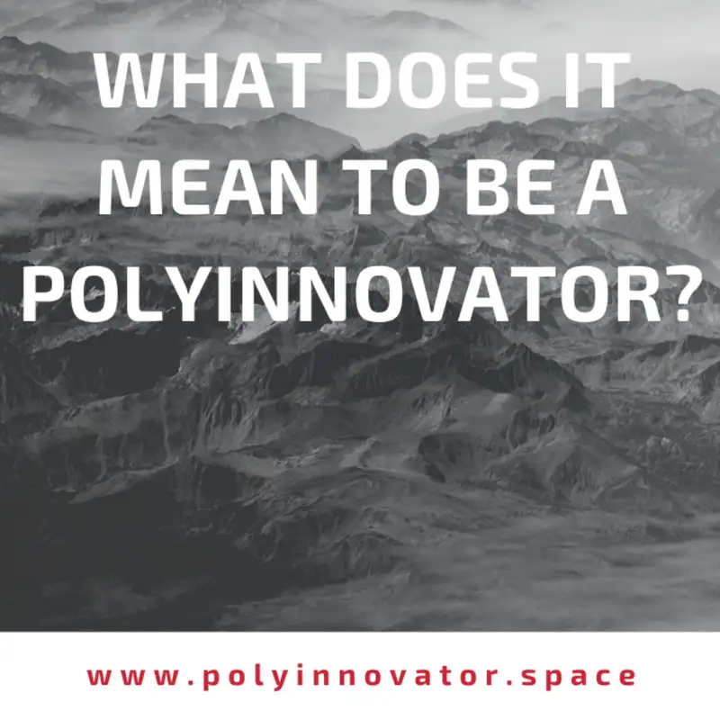 What Does it Mean to Be a PolyInnovator? [Fireside Polycast]