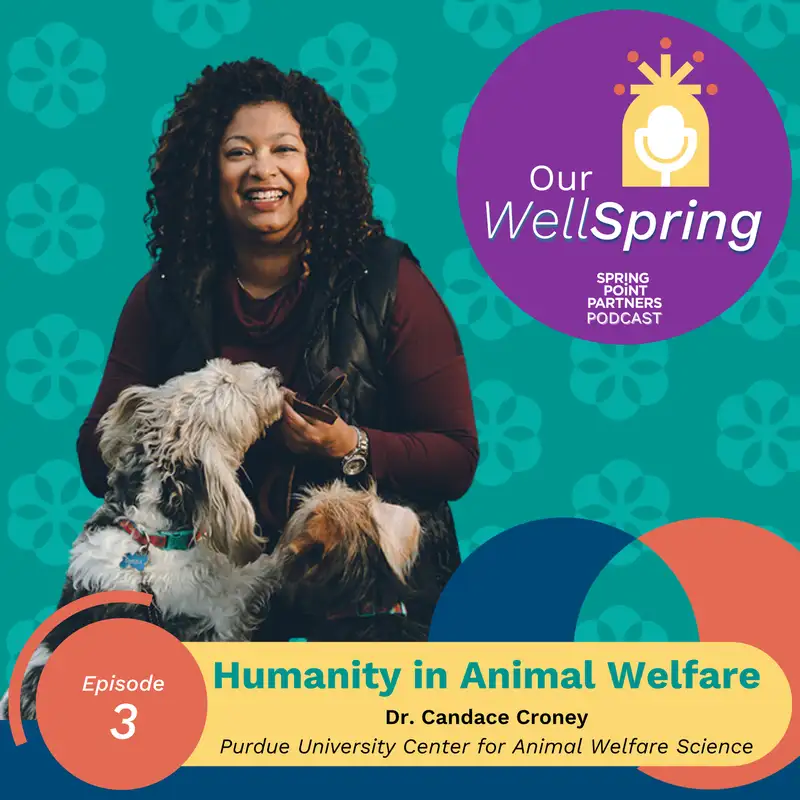Humanity in Animal Welfare