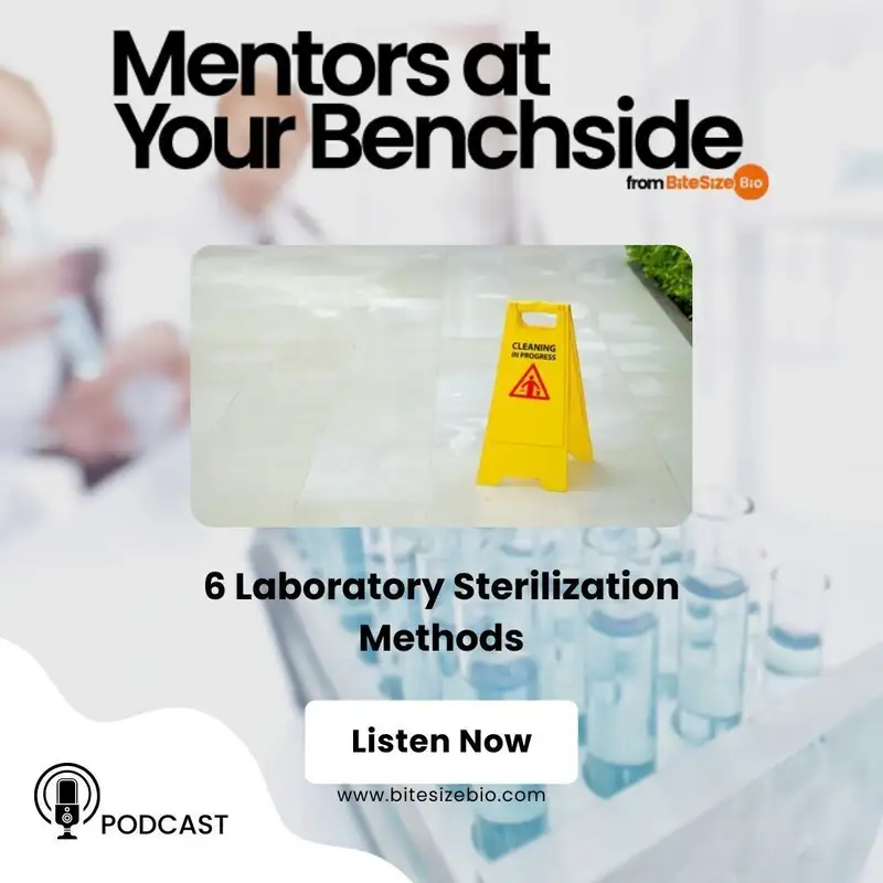 6 Laboratory Sterilization Methods and How They Work