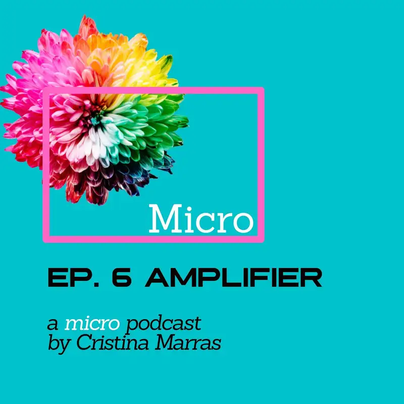 6. Amplifier