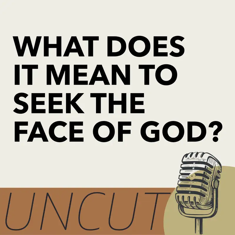 The Face of God: What does it mean to seek it?