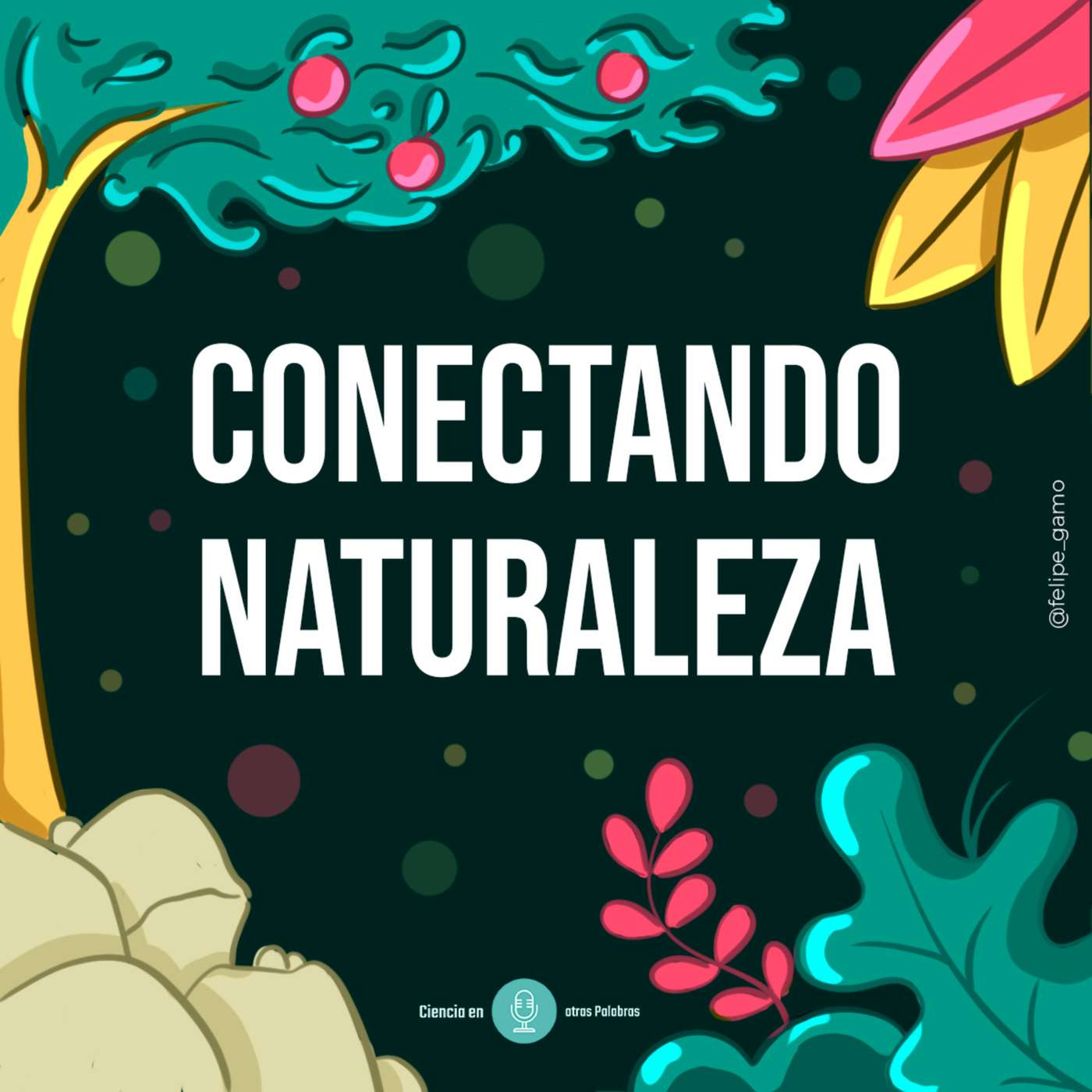 Episodio 5 - Conectando Naturaleza