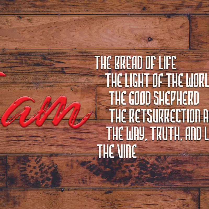 The True Vine - NC (Audio)