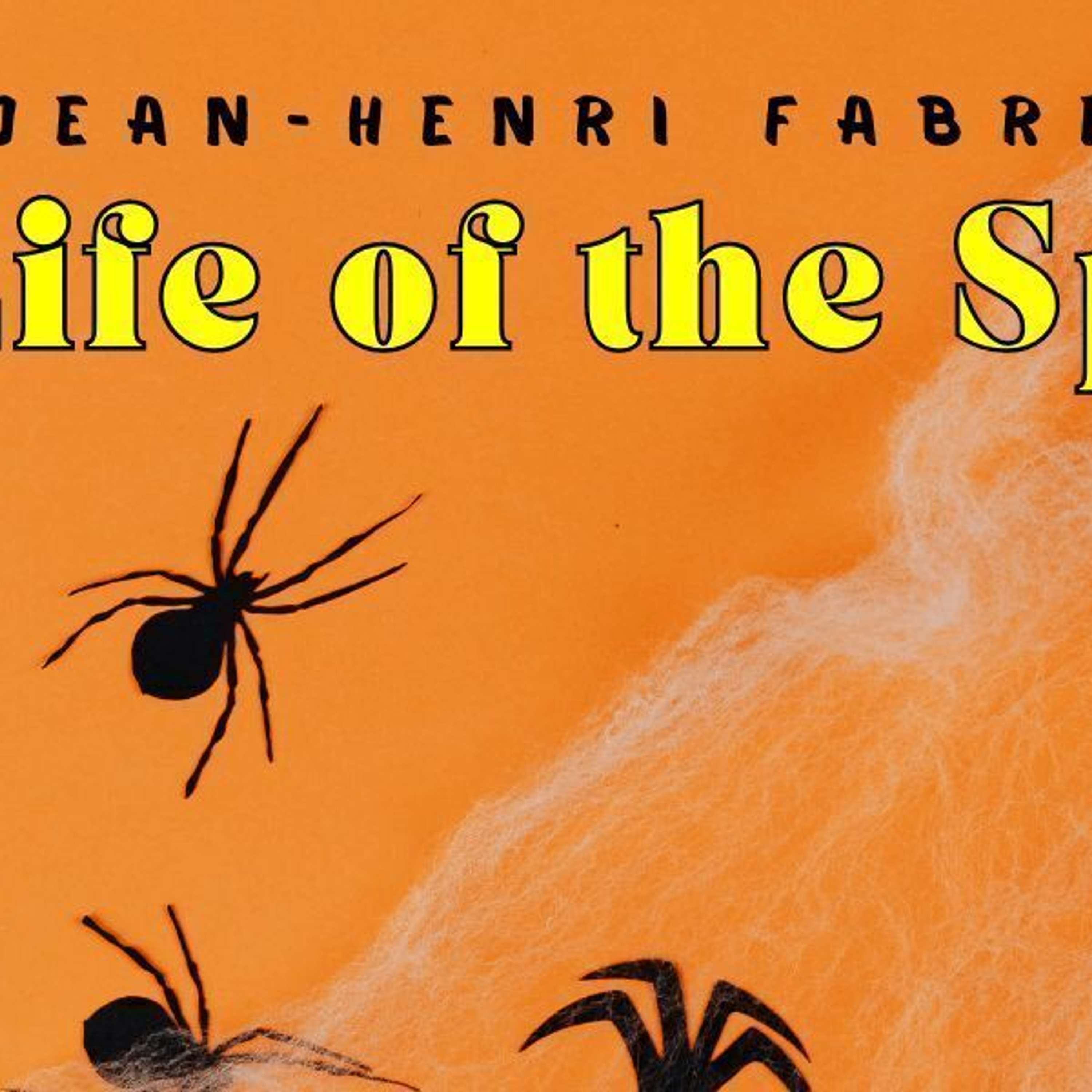 THE GARDEN SPIDERS: THE LIME-SNARE