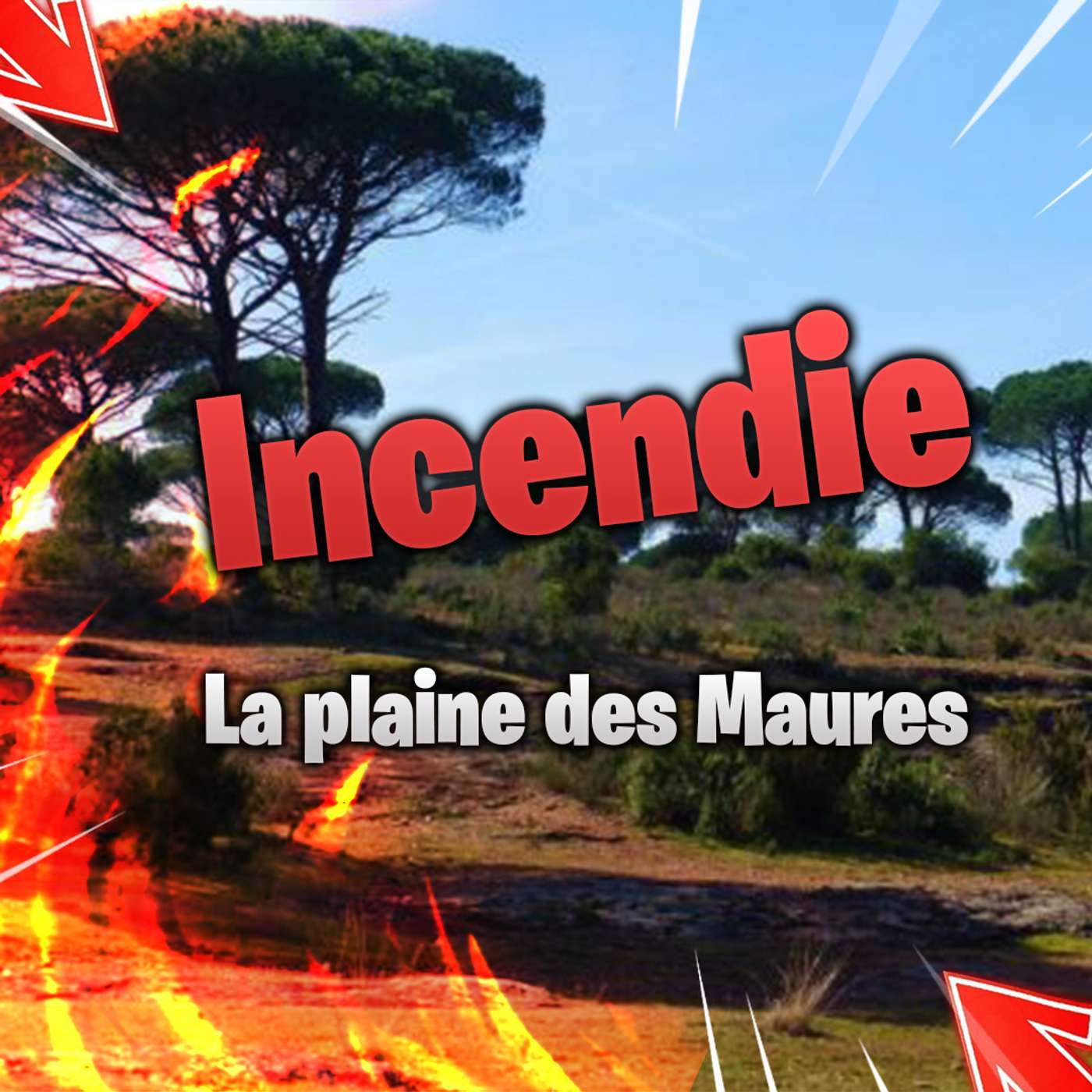 Les capsules du dehors | Incendies, l'exemple du massif des Maures