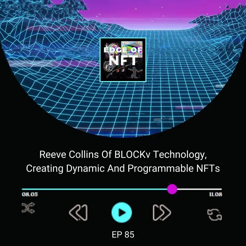 Reeve Collins Of BLOCKv Technology, Creating Dynamic And Programmable NFTs (Recorded From Miami Crypto Experience)