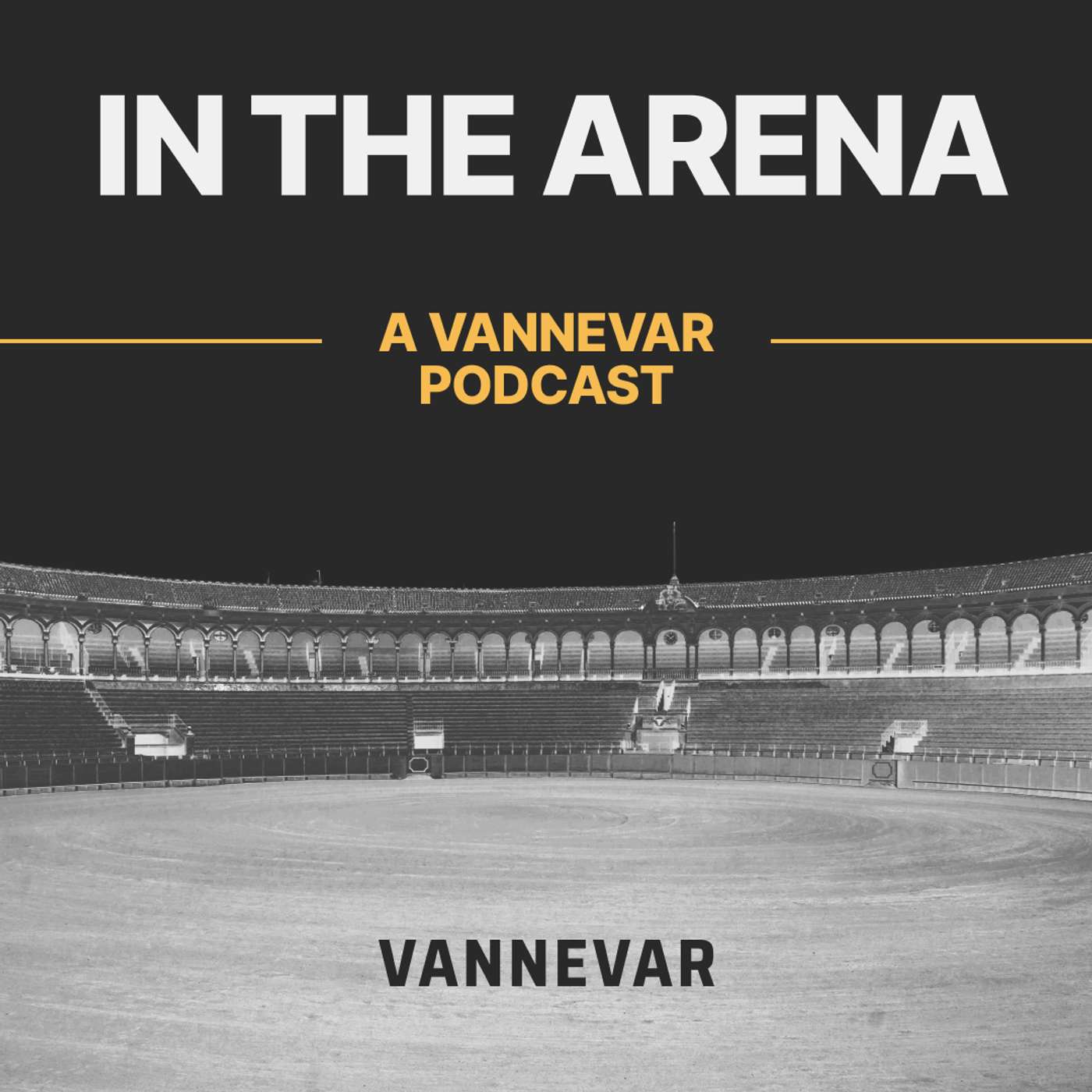 In The Arena