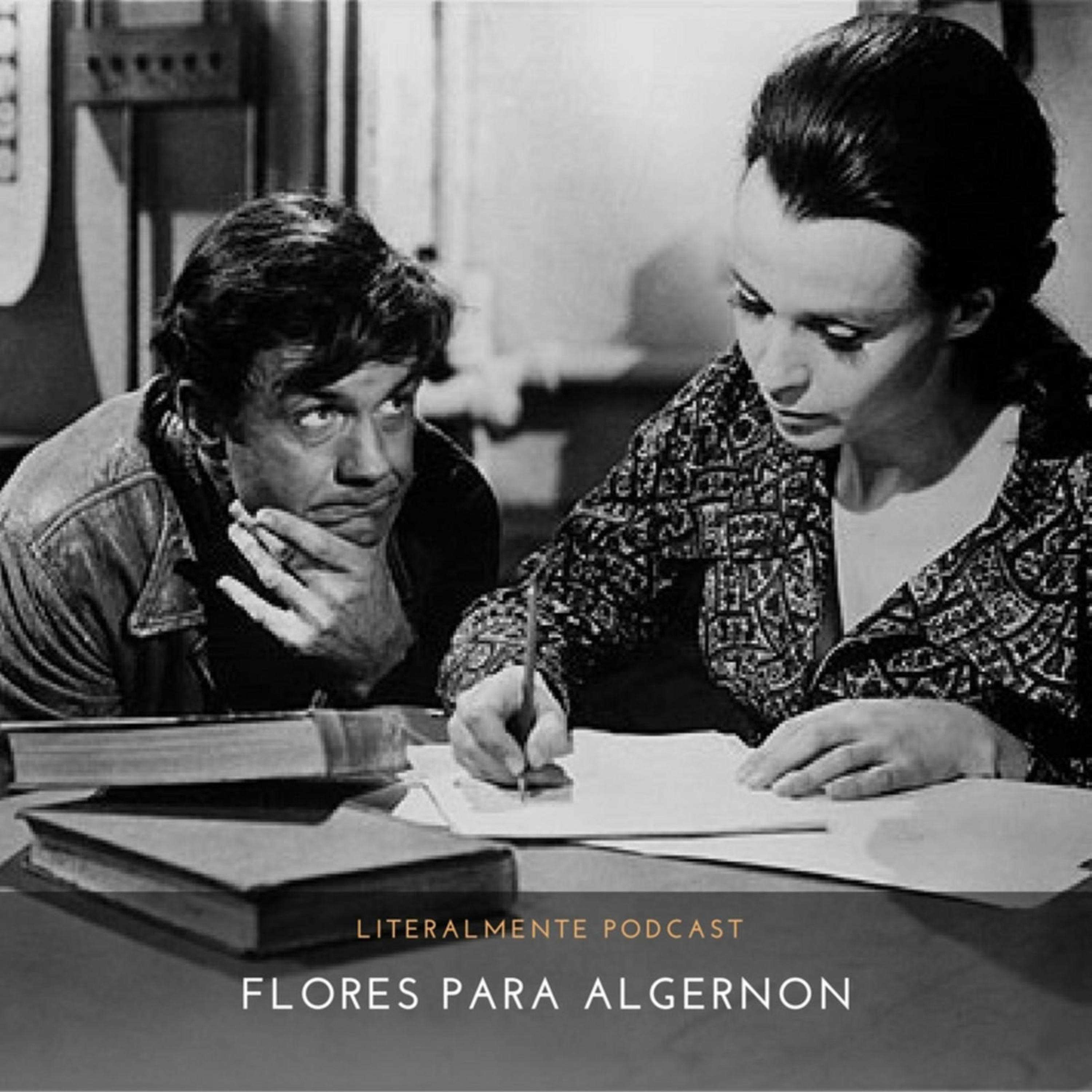MentesLiterales - Recomendaciones y Reseñas de Libros