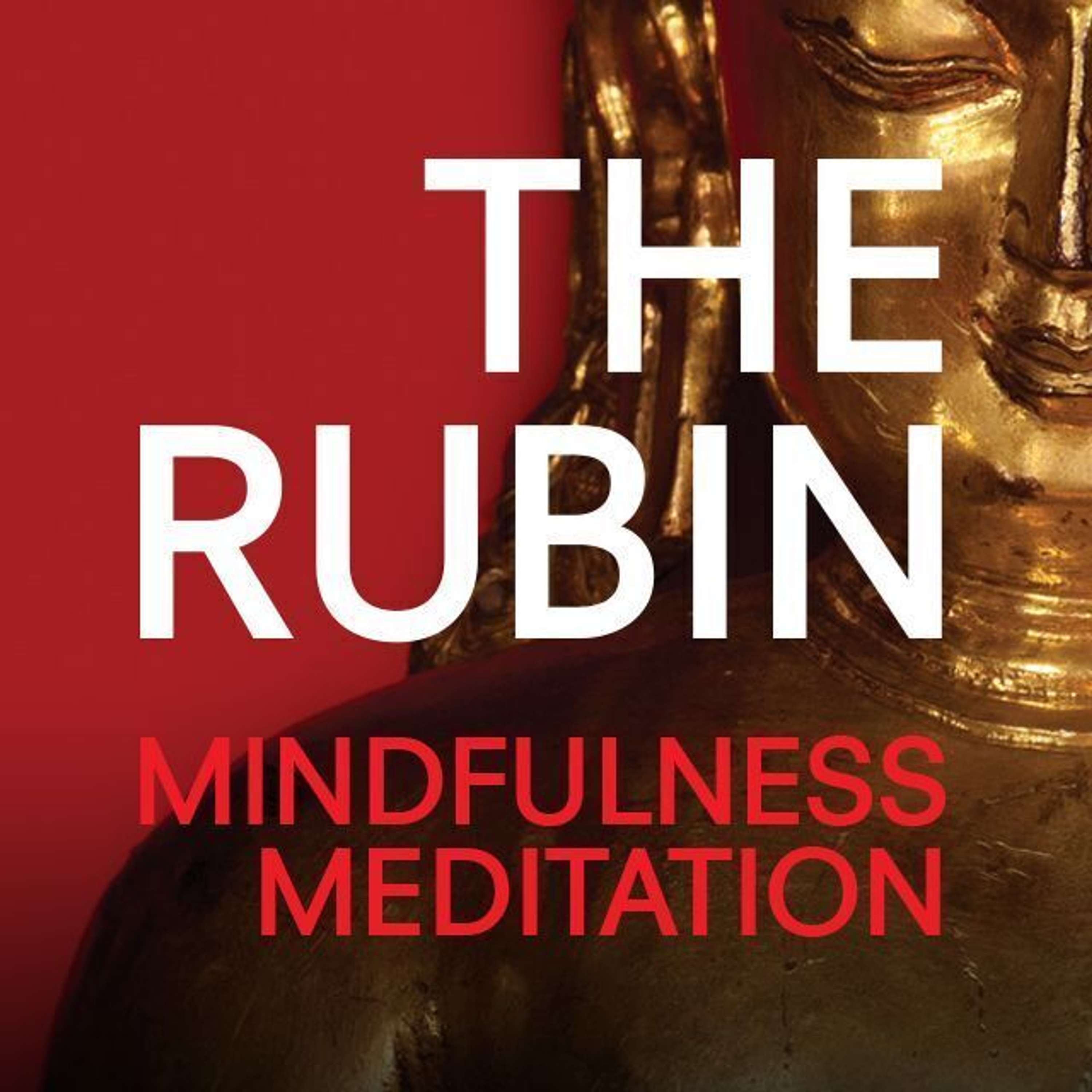 Mindfulness Meditation Podcast podcast show image
