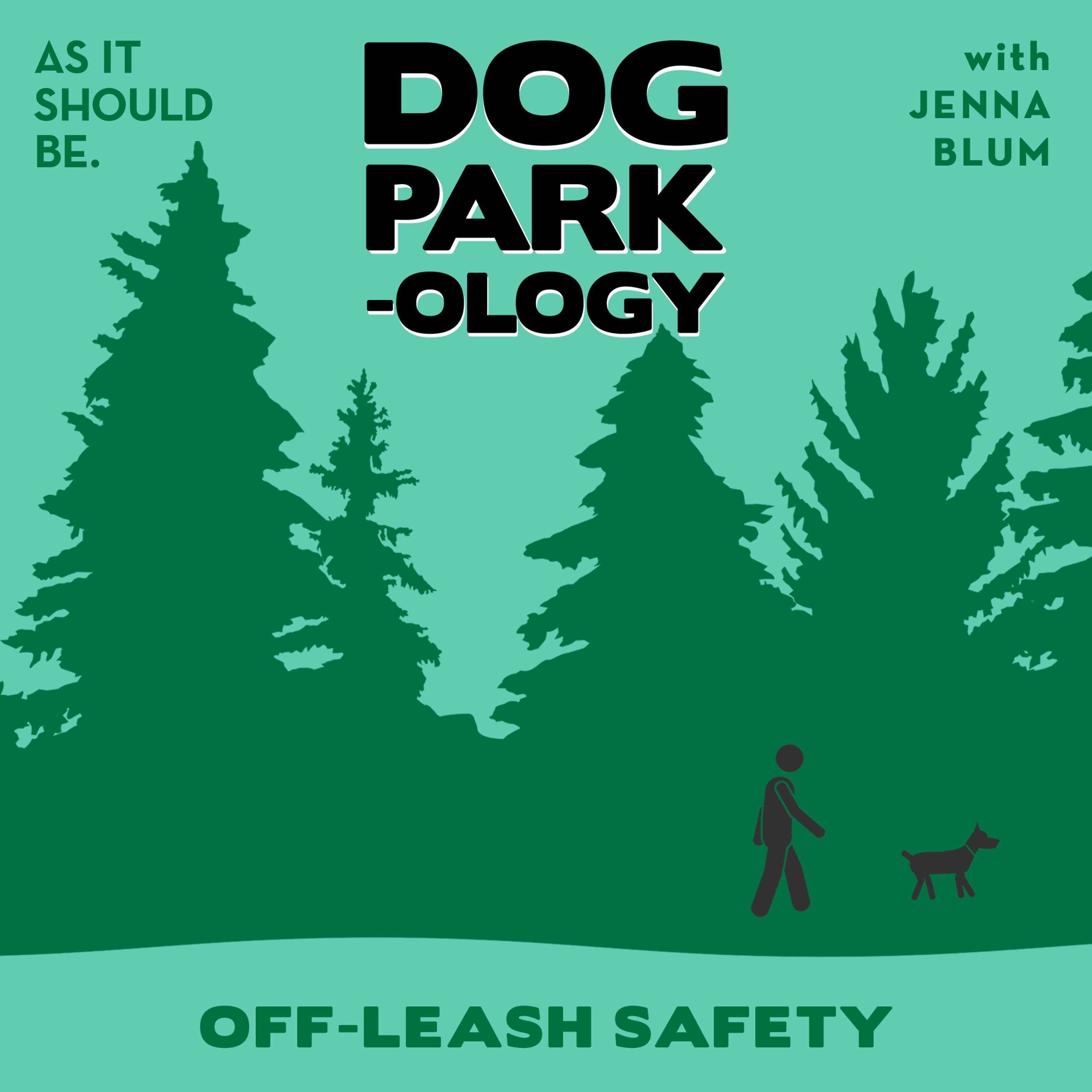 Bonus: How To Safely Allow Your Dog Off-Leash