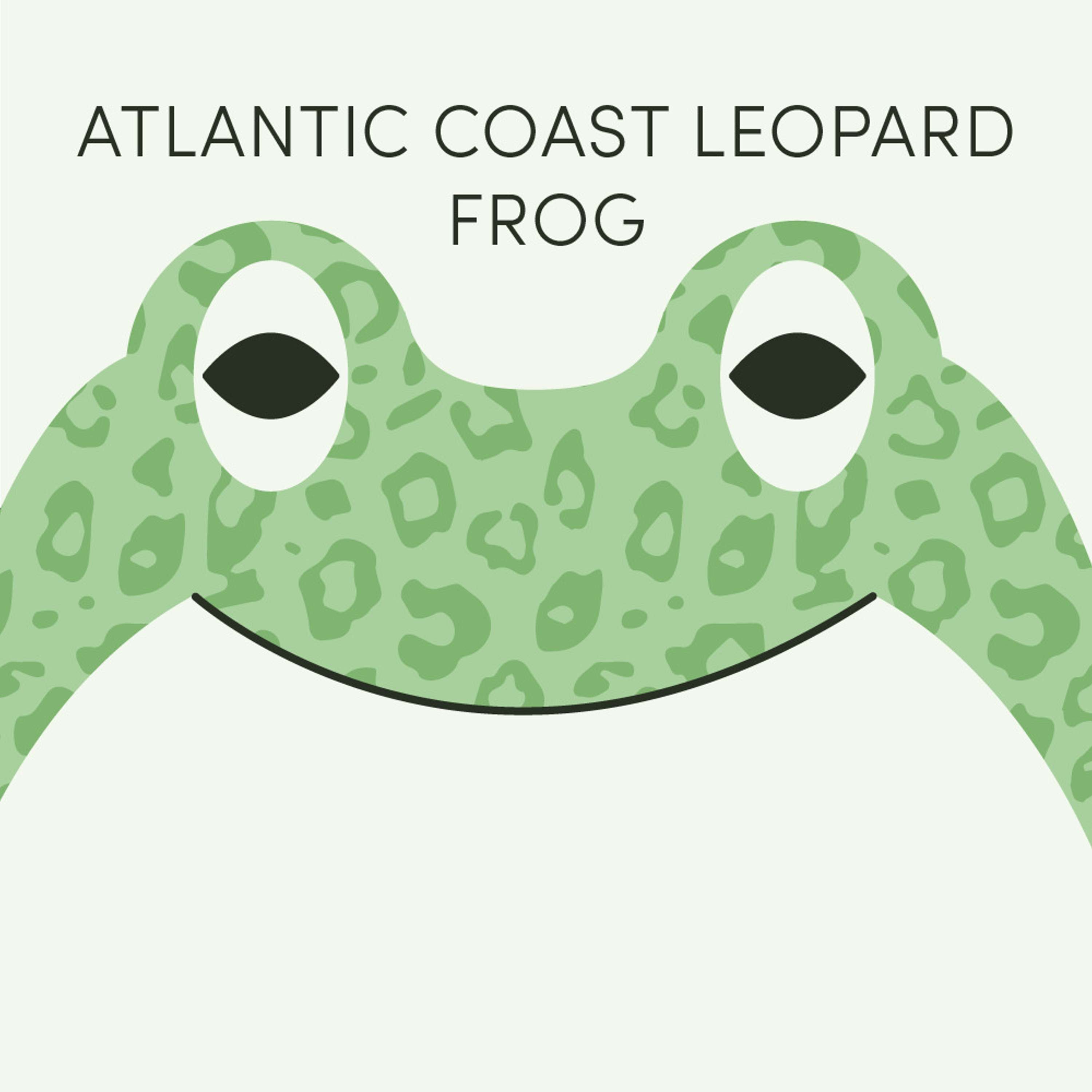 Atlantic Coast Leopard Frog | Week of May 23rd