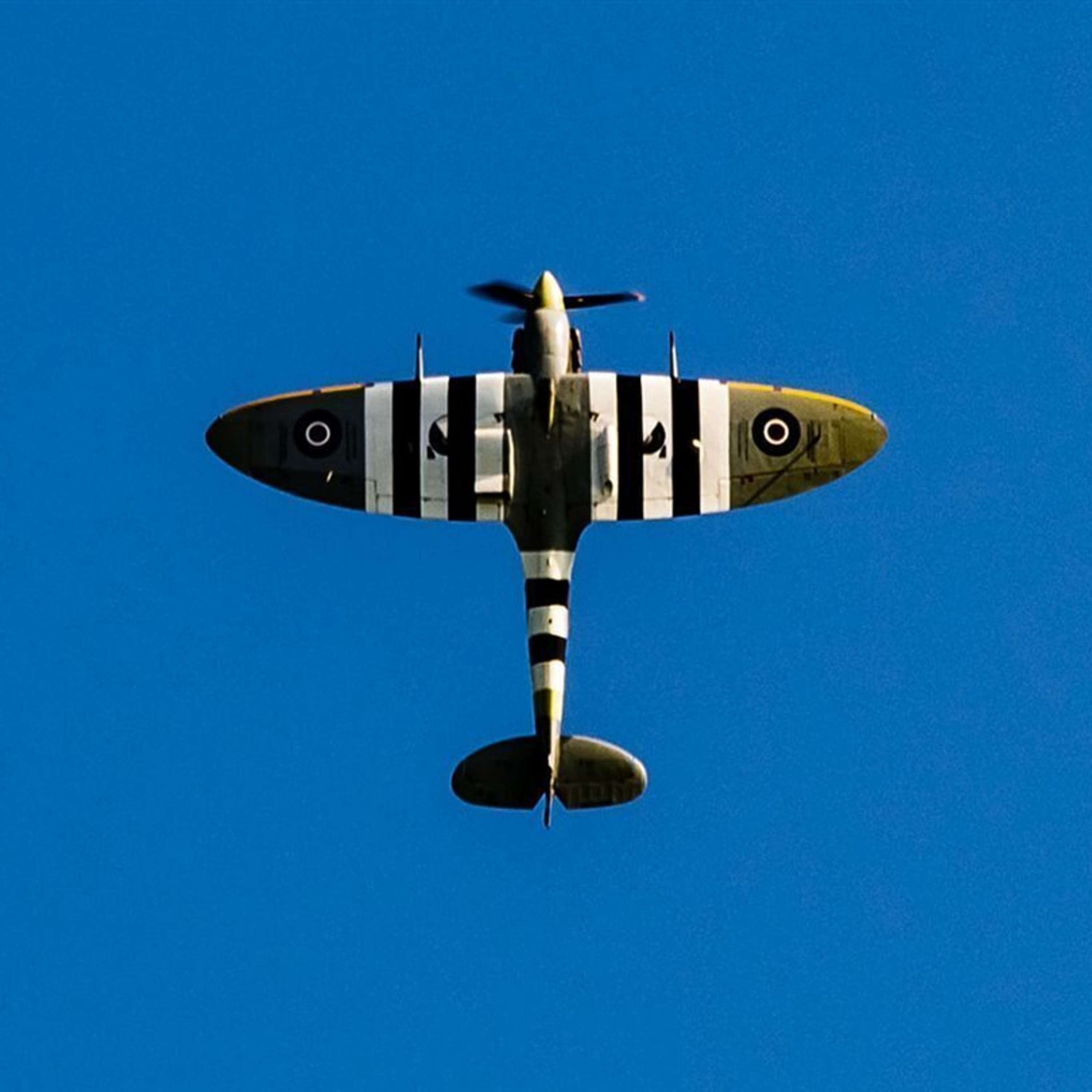 El vuelo: de los dinosaurios a los hermanos Wright (IIII): El sueño de volar