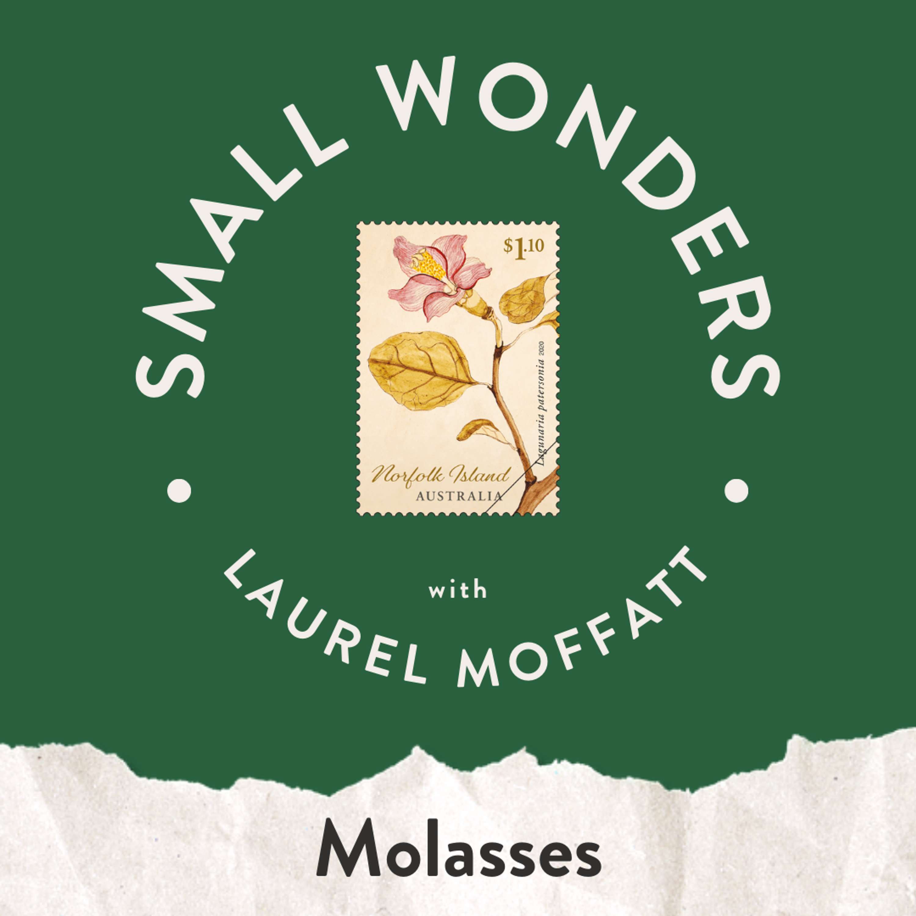 Small Wonders