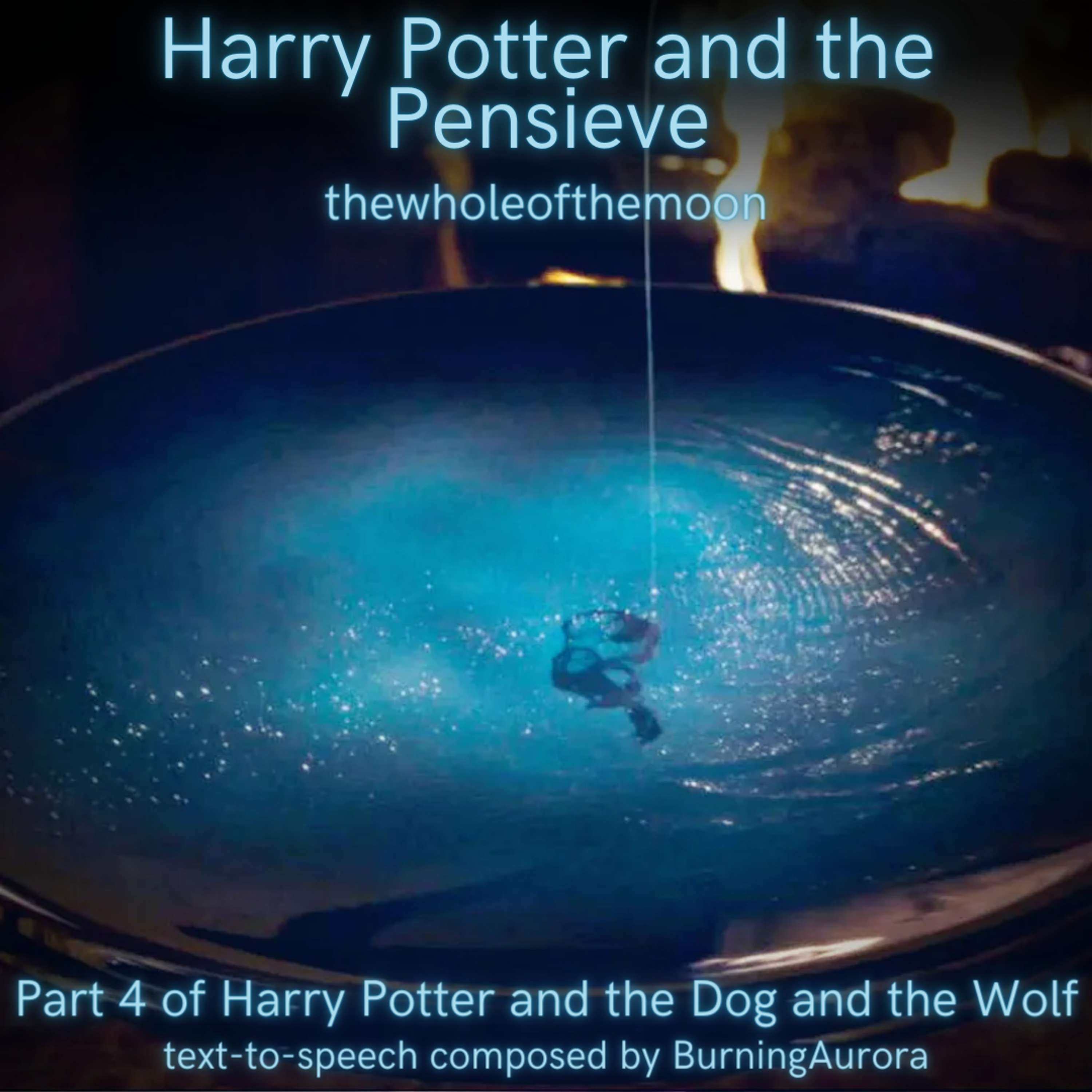 Harry Potter and the Pensieve: Part 2 by thewholeofthemoon | Harry Potter and the Dog and the Wolf: Part 4