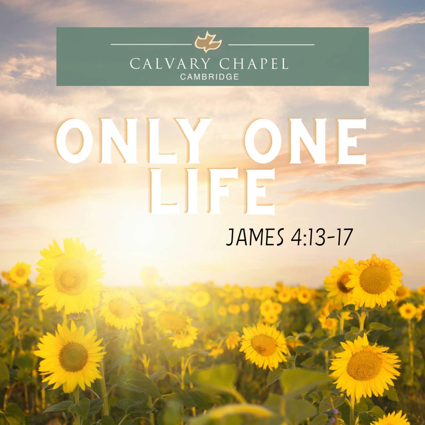 Only One Life
