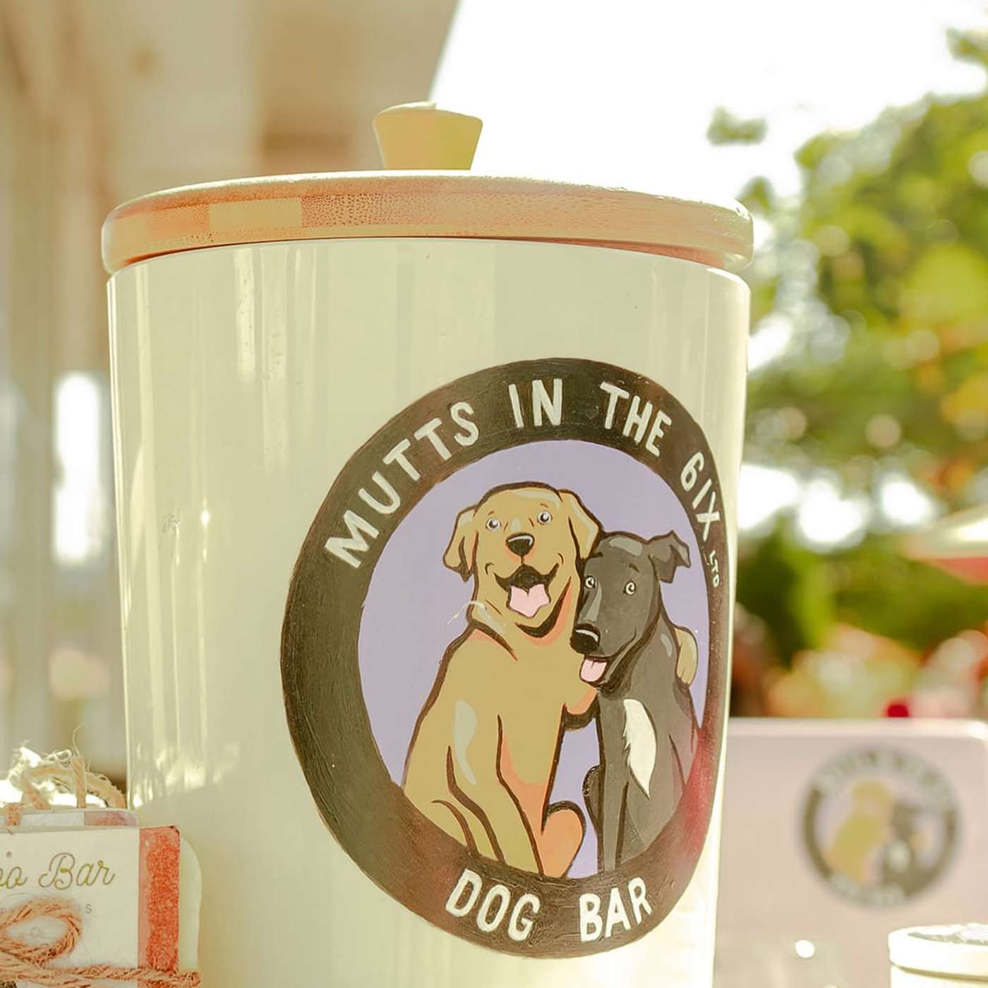 A Special Type of Dog Park