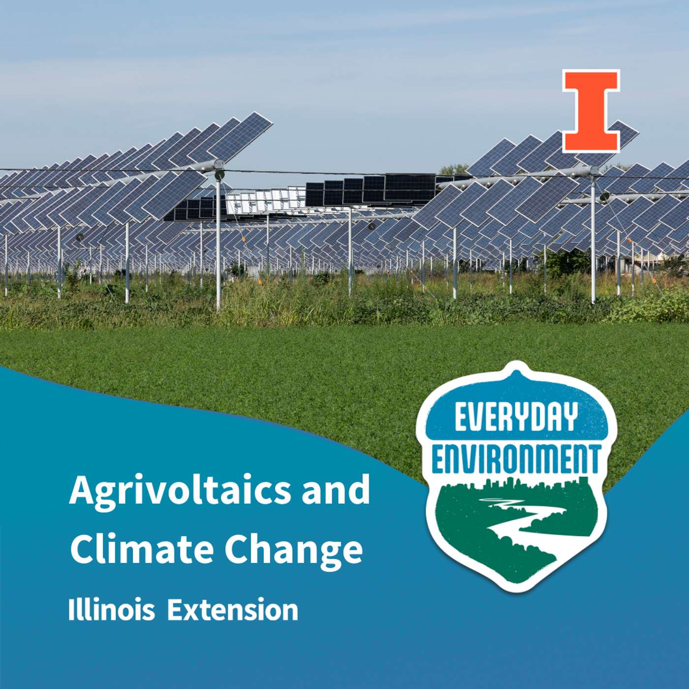 Everyday Environment Podcast