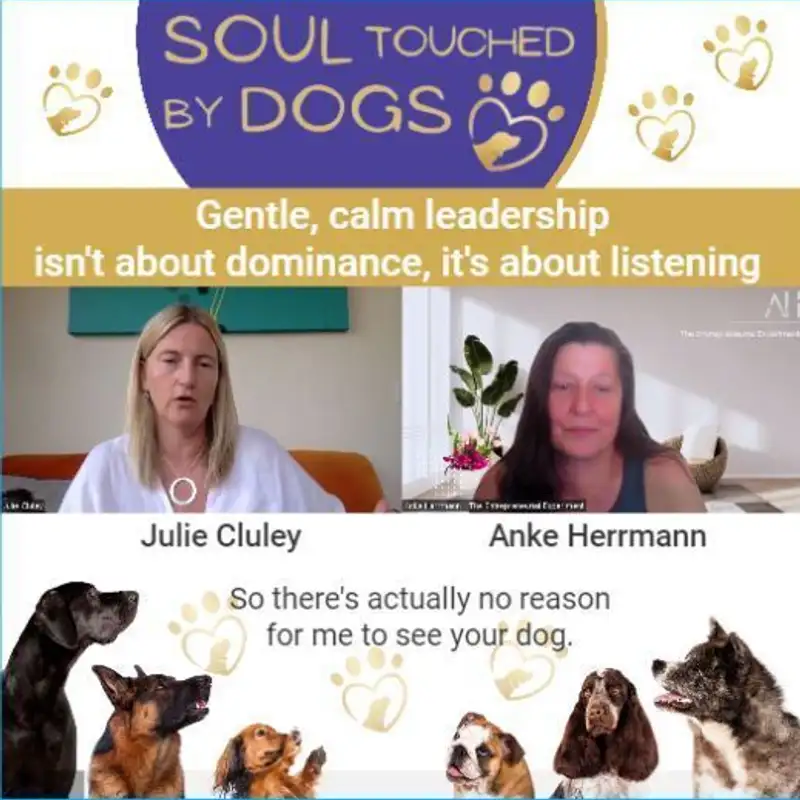 Julie Cluley - Gentle, calm leadership isn't about dominance