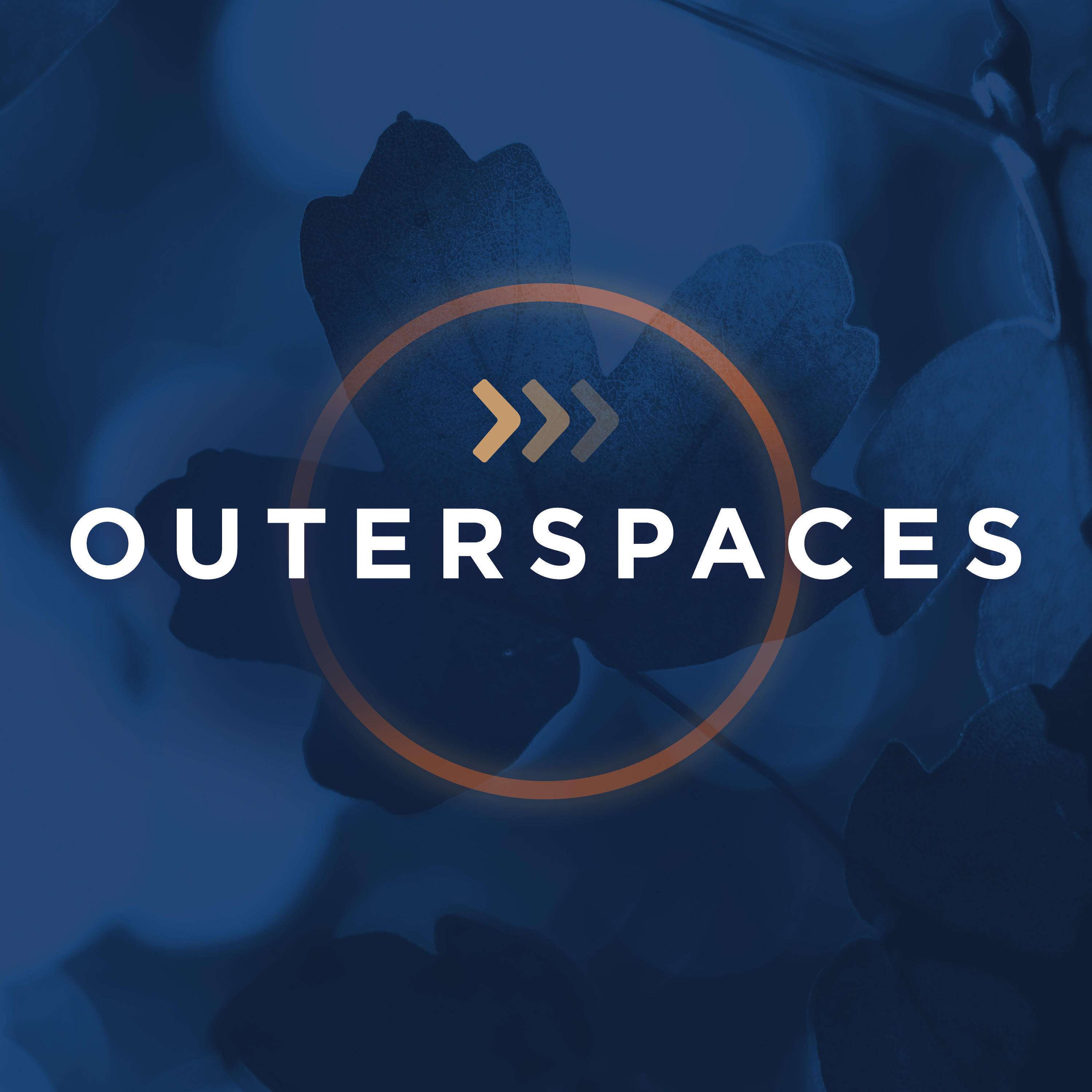 Sales made Simple for Outdoor Living Pros, Landscapers and Hardscapers (formerly Outerspaces)