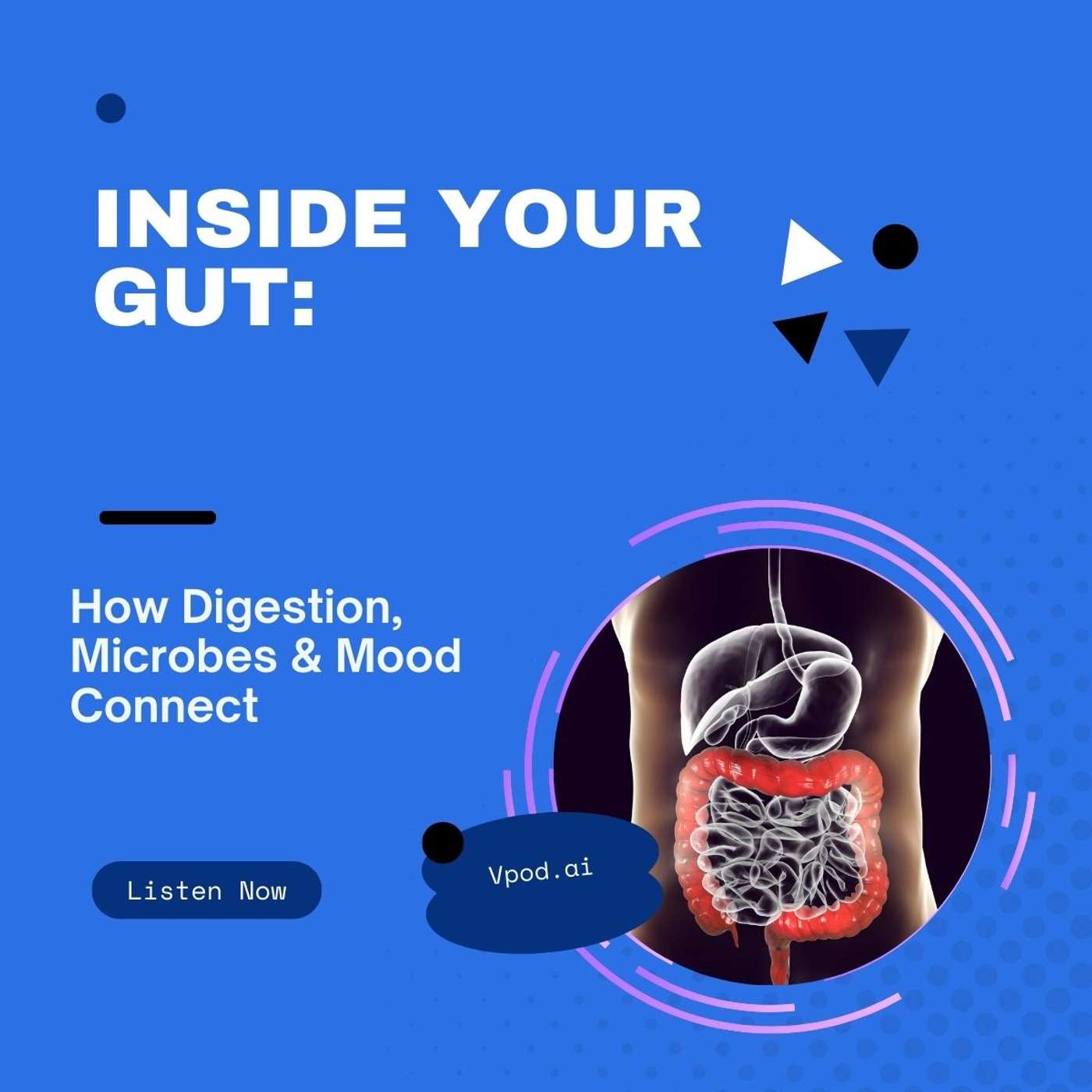 Inside Your Gut: How Digestion, Microbes & Mood Connect