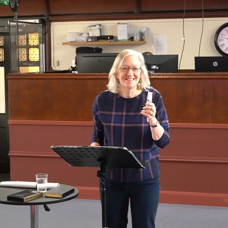 Ali Rothwell: Look the Other Way